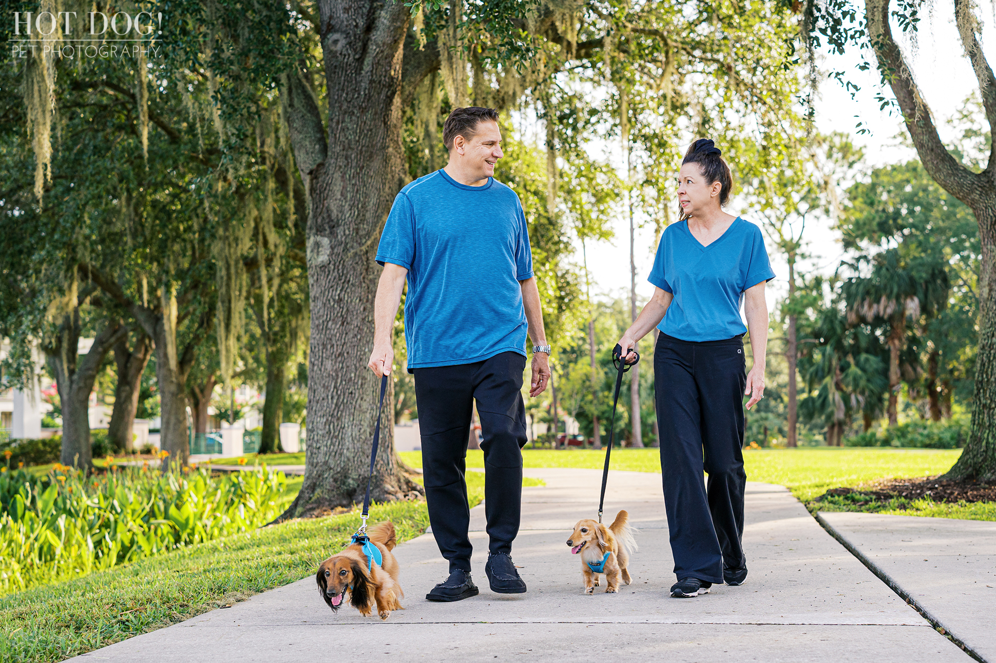 Dawn and Jeff walk Goose and Maverick along a tree-lined sidewalk in downtown Celebration, holding leashes and smiling.