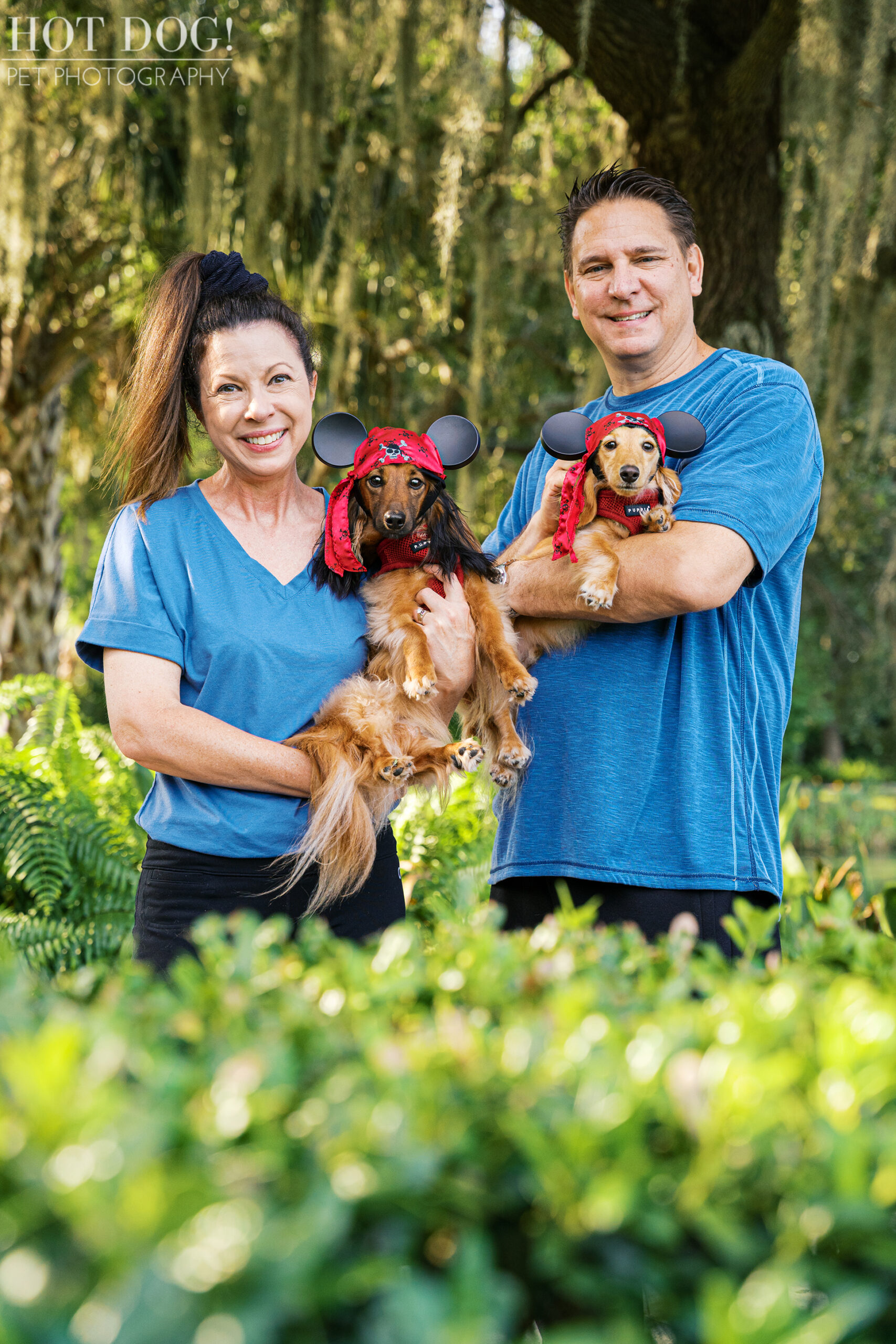 Goose and Maverick dressed in Mickey Mouse pirate hats, being held by their smiling parents Dawn and Jeff during their pet photography session in Celebration, FL.