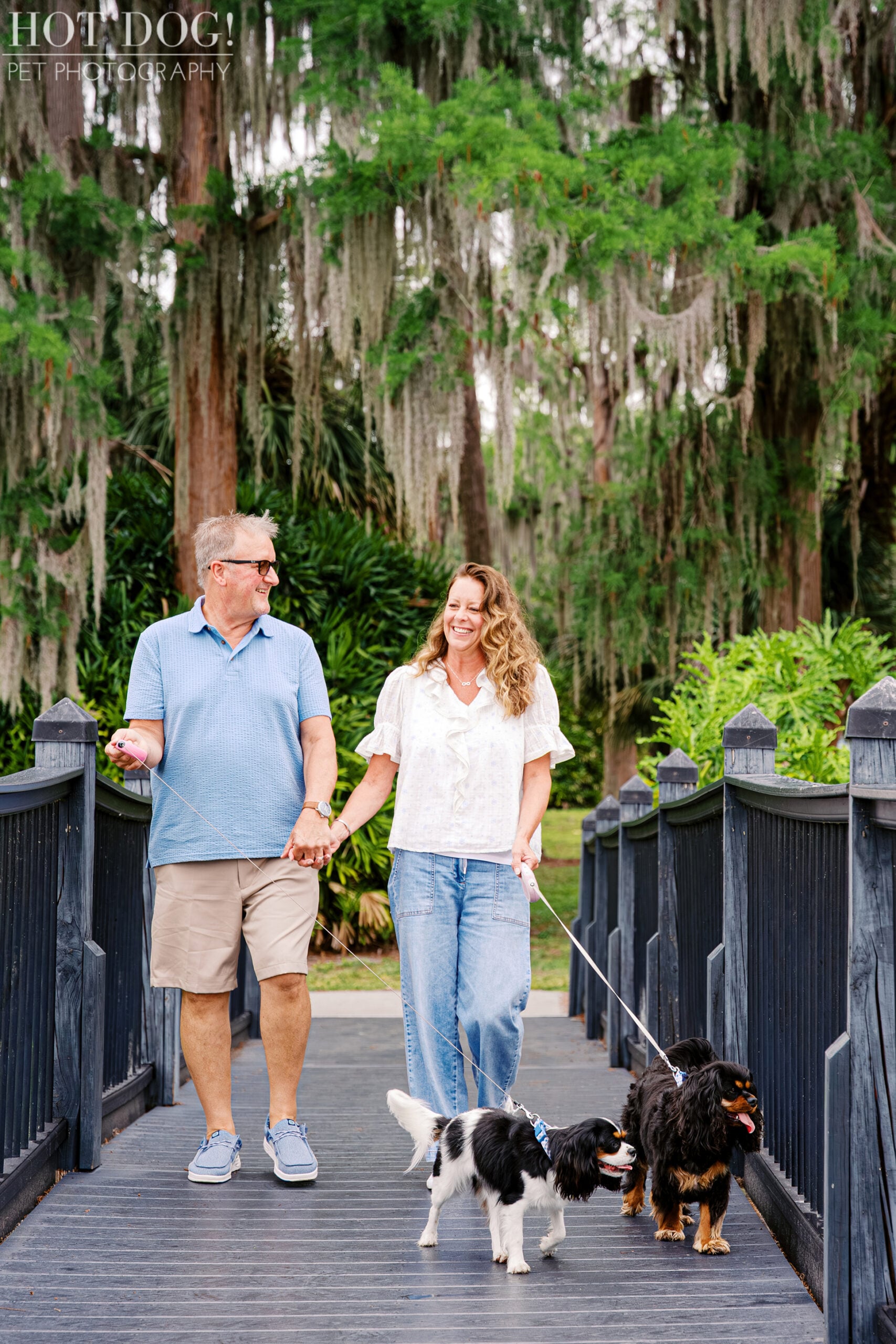 Tonia and James walking Cavalier King Charles Spaniels Jazmyn and Jerzee across a bridge beneath Spanish moss in Central Florida.