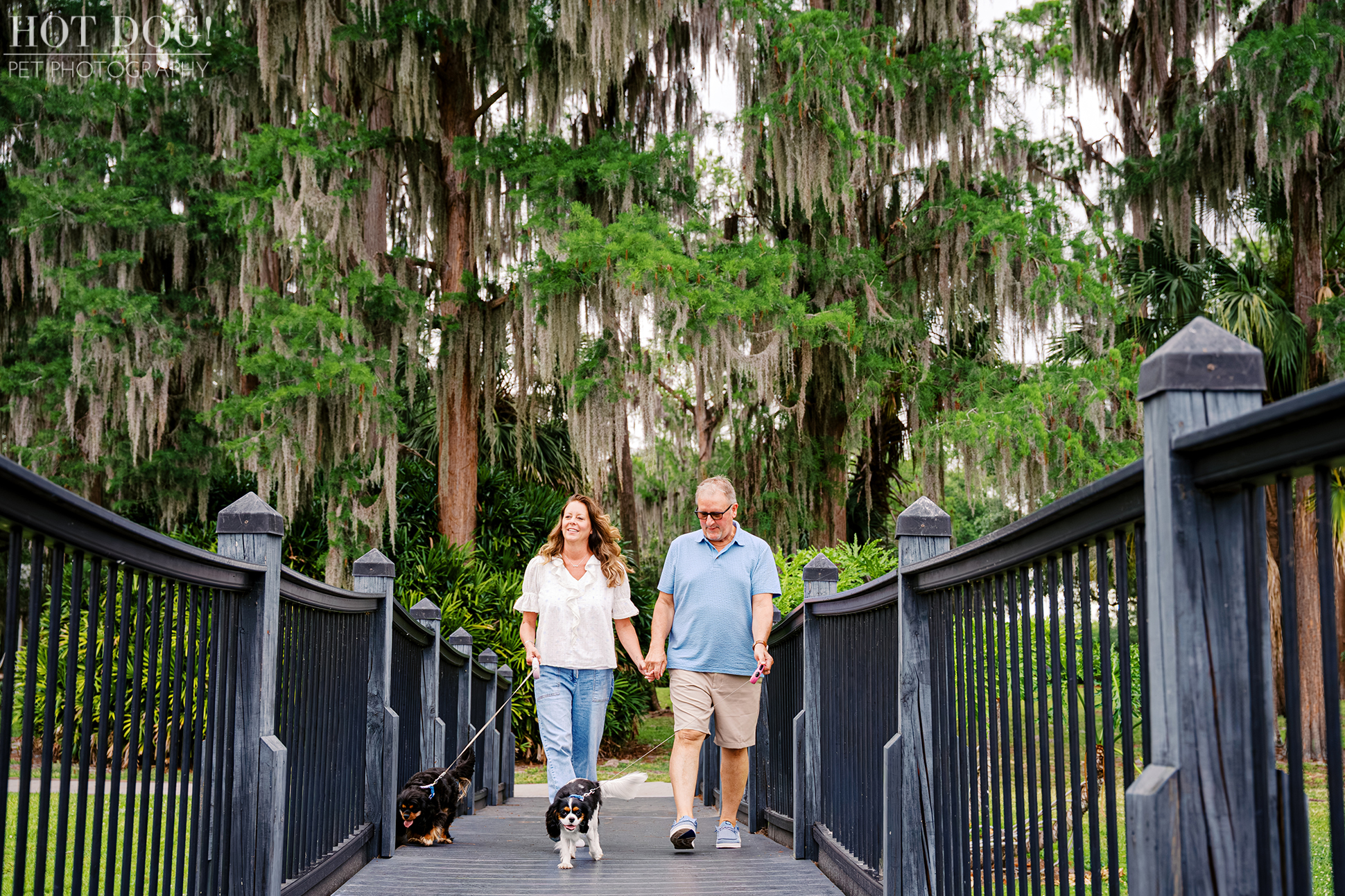 Tonia and James walking their Cavalier King Charles Spaniels, Jazmyn and Jerzee, across a bridge beneath Spanish moss in Central Florida.