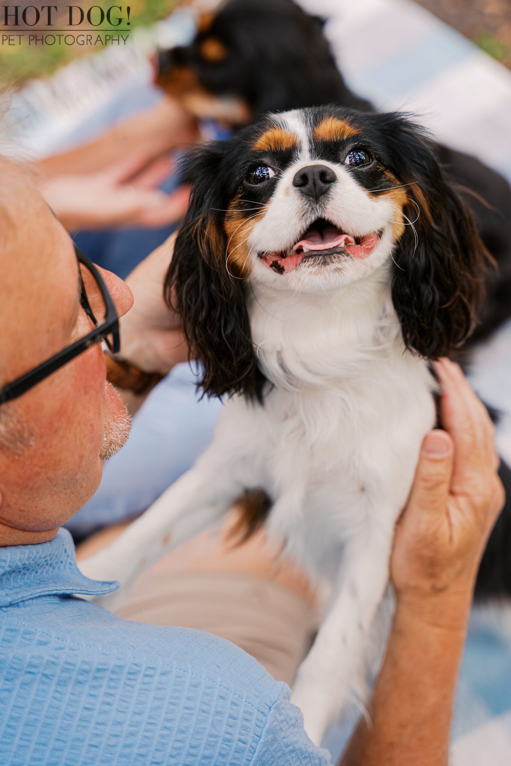 James cuddling tricolor Cavalier King Charles Spaniel Jerzee during a relaxed family pet photography session in Central Florida.