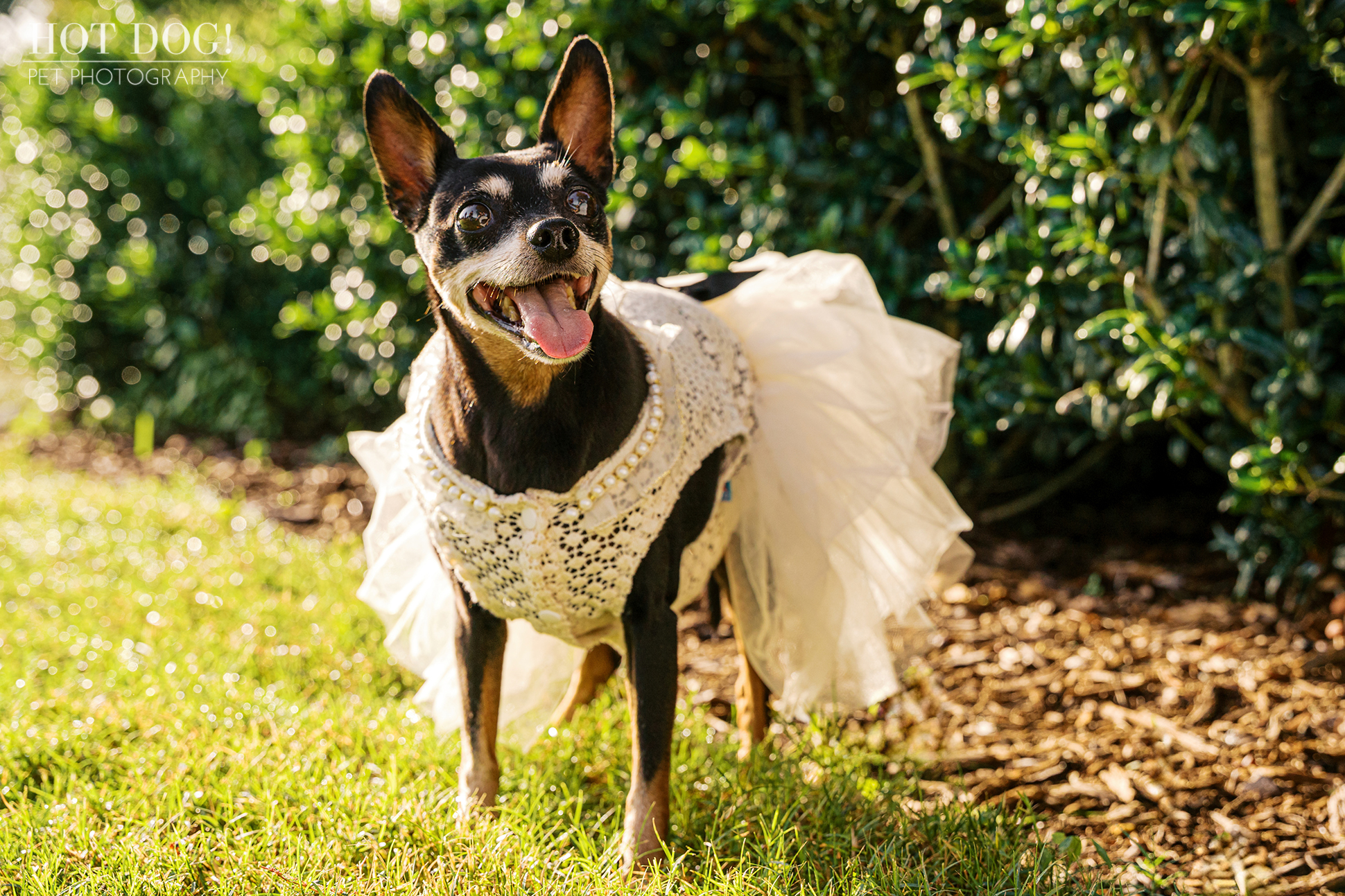 Kiki smiling in her white lace and tulle dress, standing on grass with green bushes in the background.