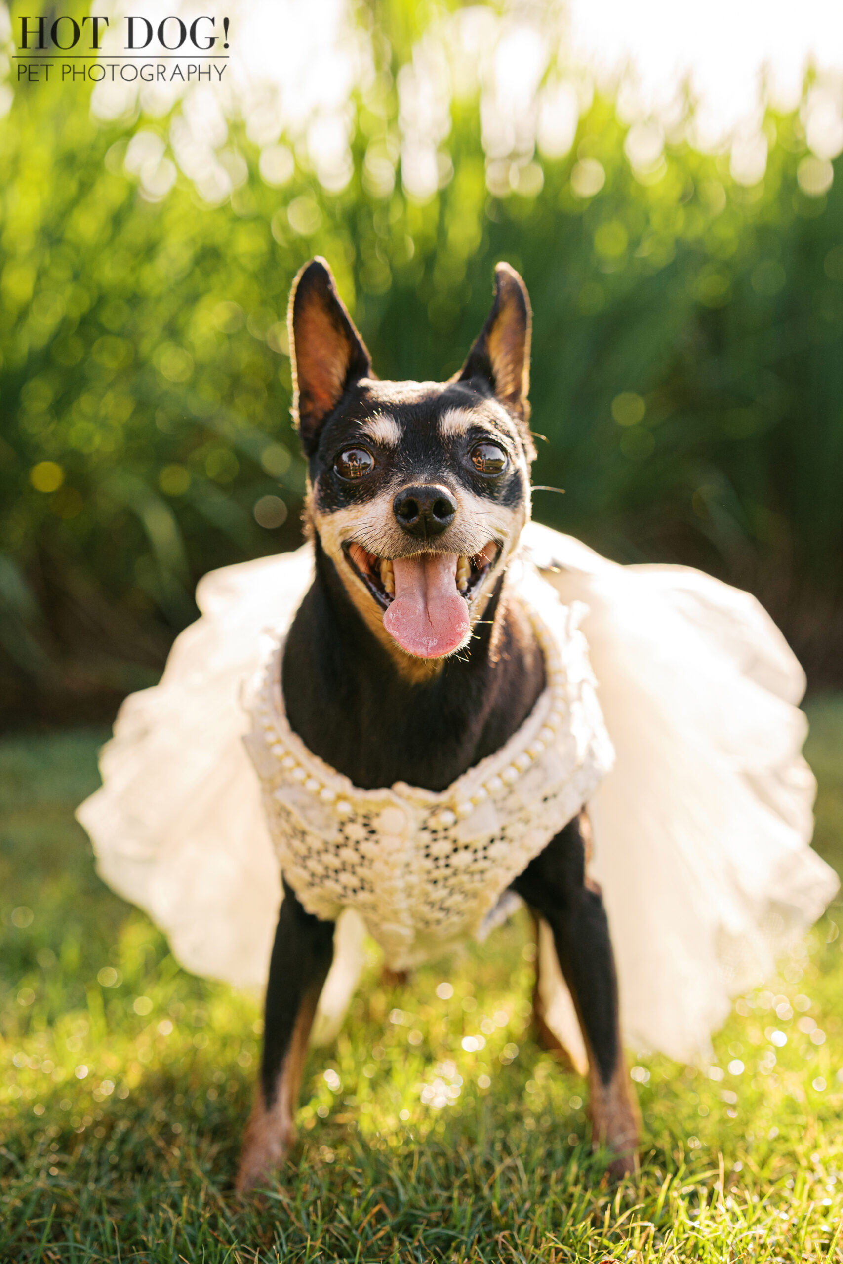 Kiki beaming at the camera while wearing her white lace dress, sunlight creating a soft bokeh background.