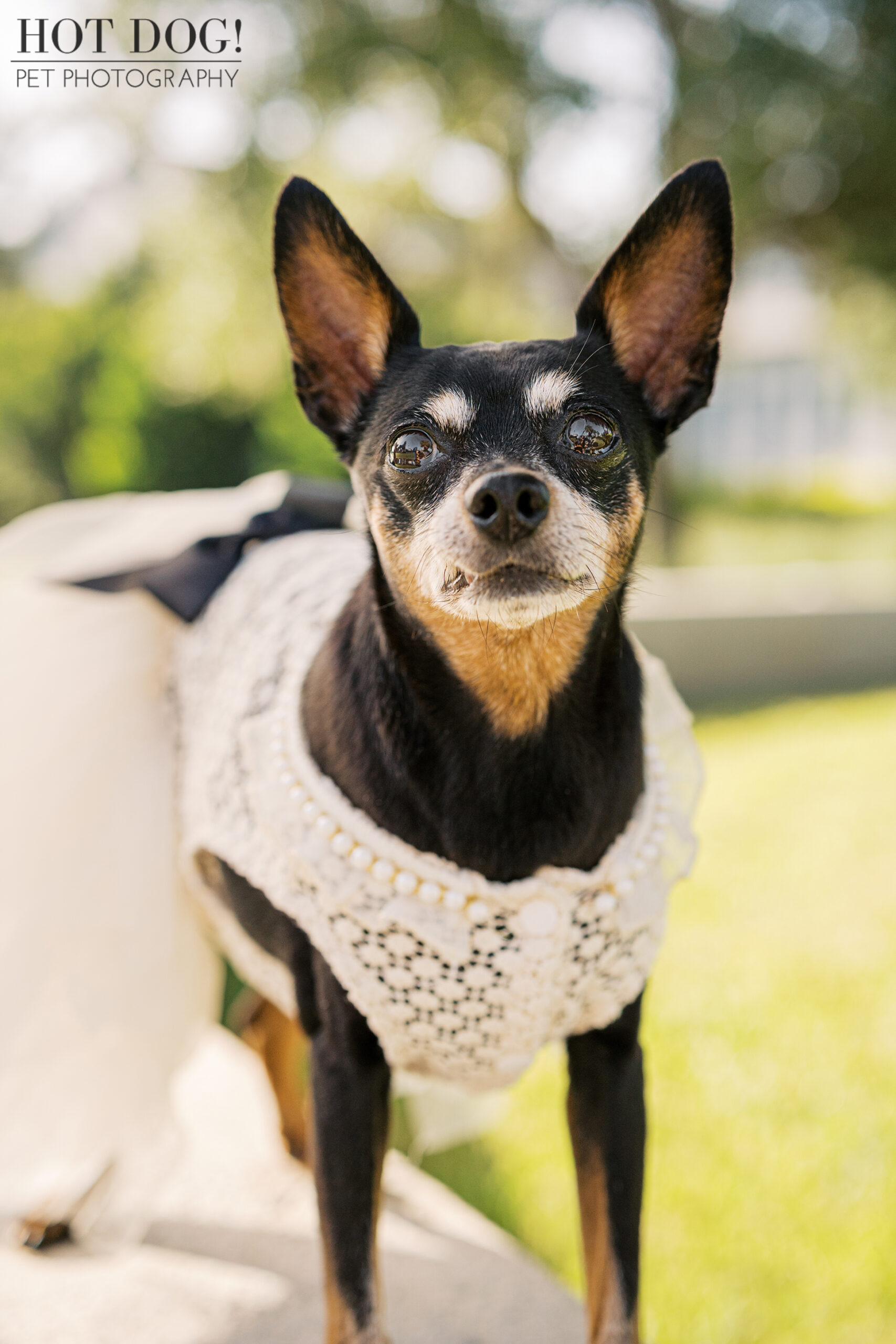 Kiki standing confidently on a low wall, wearing her white lace dress with pearl trim during her Lake Nona session.