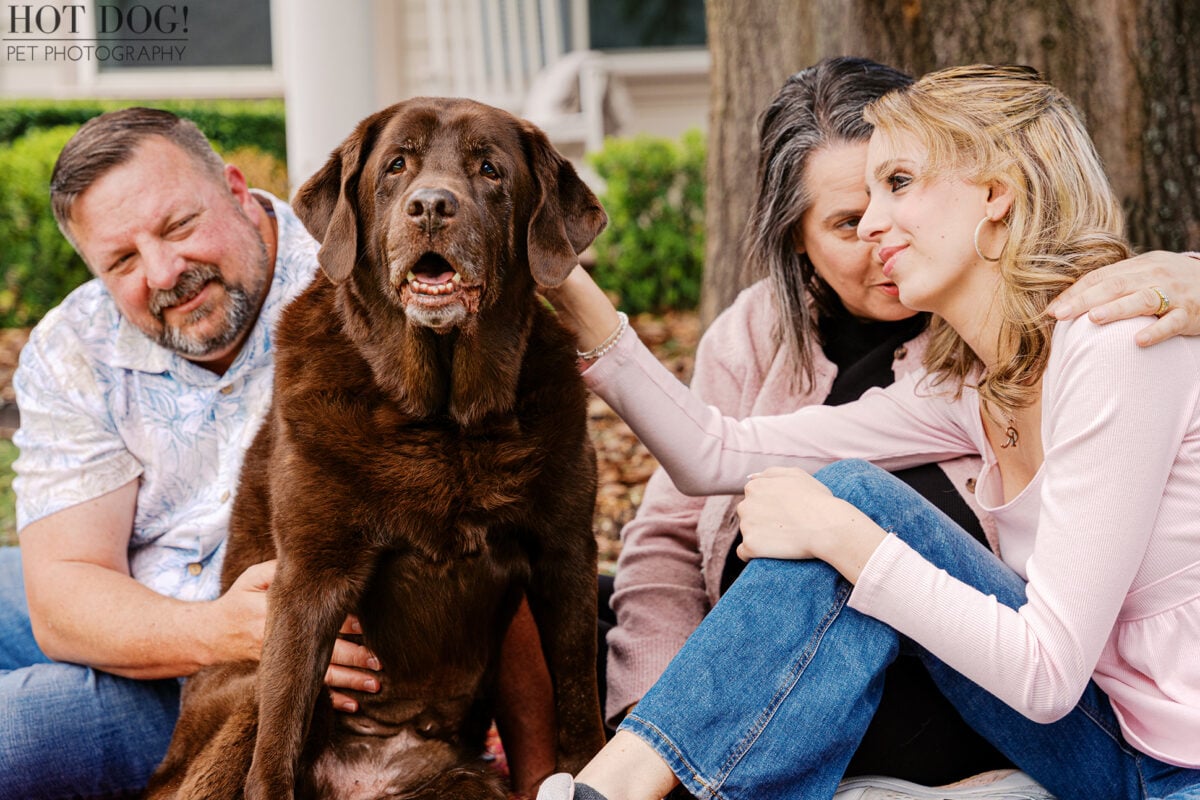 Jennifer, James, and Regina Crowe gather around their beloved chocolate Labrador, Kona, sharing affectionate moments during their family pet photography session.