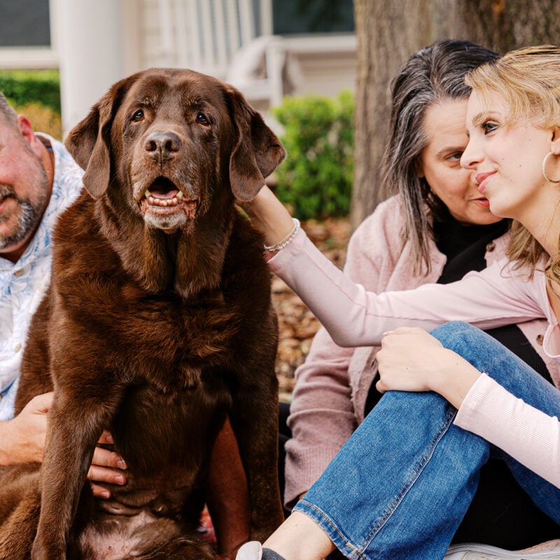 Kona’s Story: A Cherished Companion Session in Oviedo