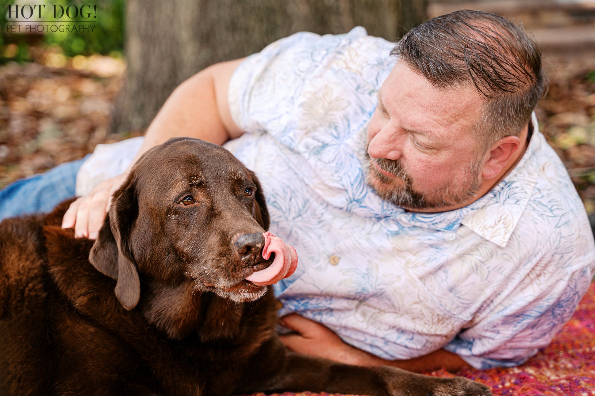 Nine-year-old chocolate Labrador Retriever Kona curls his tongue around his nose while relaxing beside James during an at-home pet photography session in Oviedo, Florida.