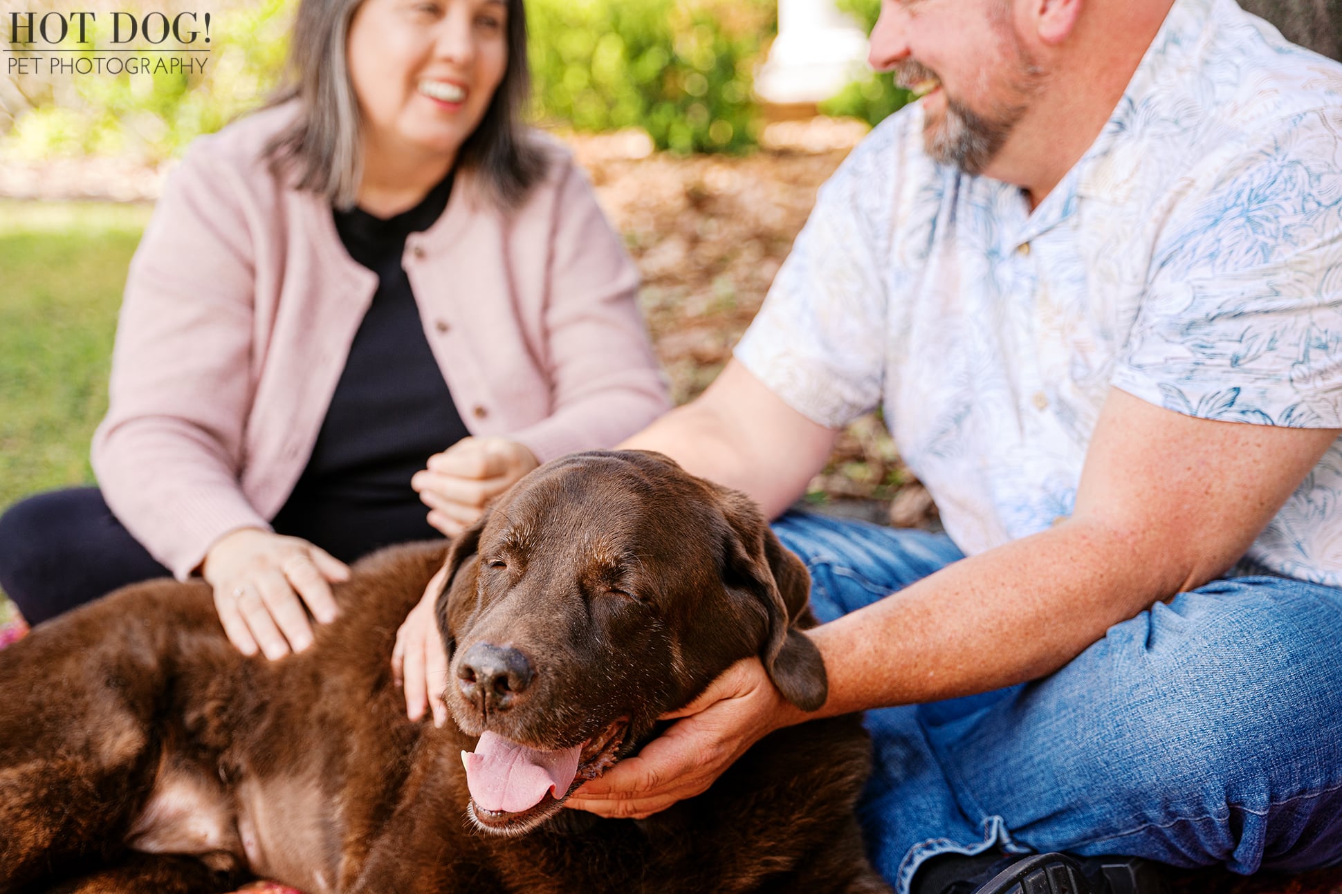 Senior chocolate Labrador Retriever Kona closes his eyes contentedly while Jennifer and James pet him during their family photography session in Oviedo, Florida.