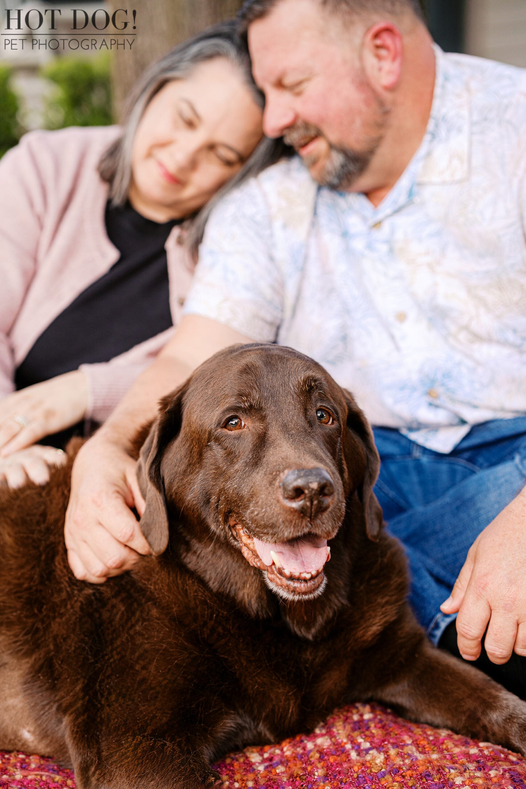 Kona, a nine-year-old chocolate Labrador, smiles at the camera while Jennifer and James share a tender moment behind him during their at-home pet photography session.
