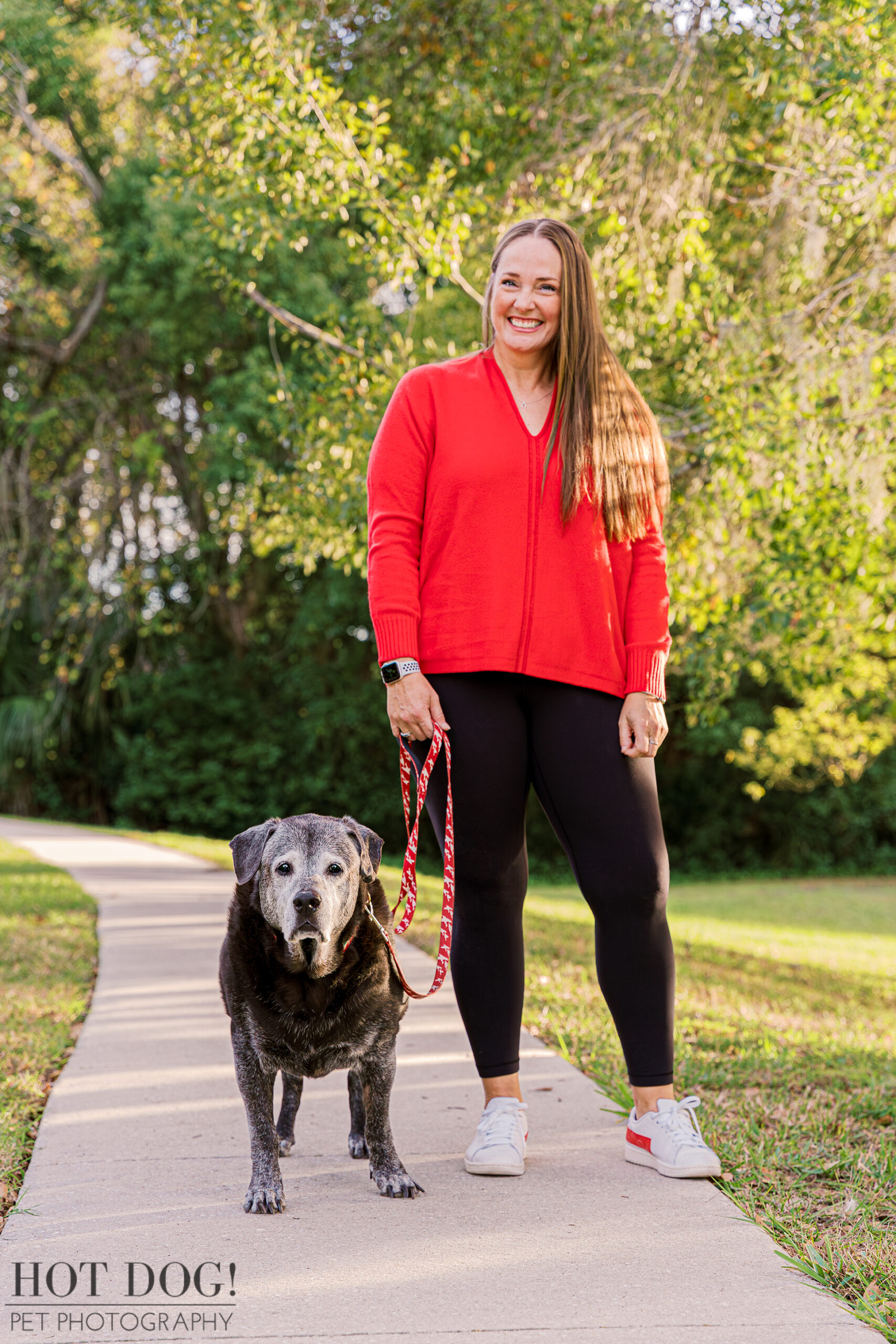 Senior rescue dog Lambeau having his portrait taken by Hot Dog! Pet Photography.