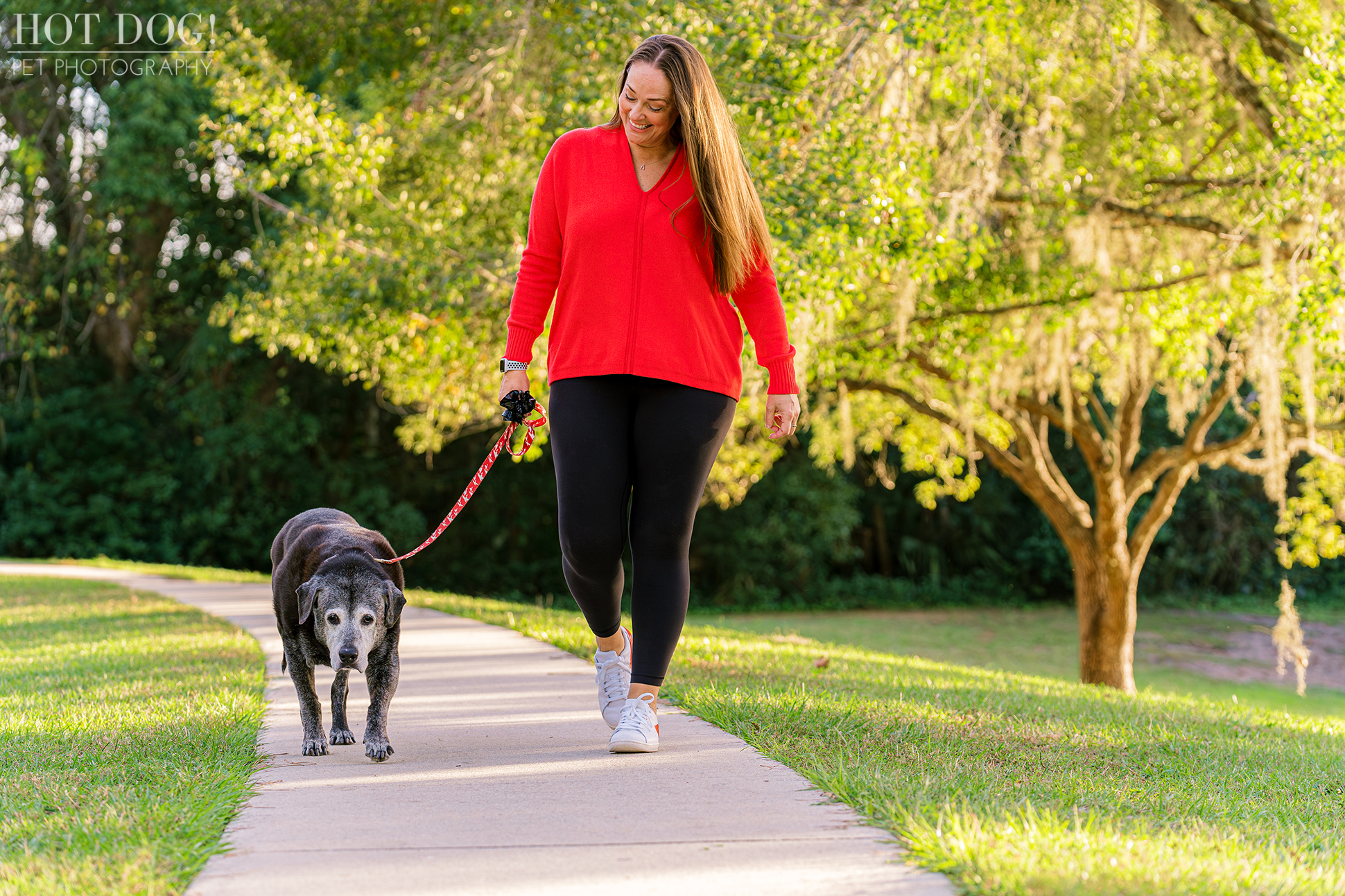 Capture the special moments with your furry friend at Hot Dog! Pet Photography, the best pet photography studio in Central Florida.