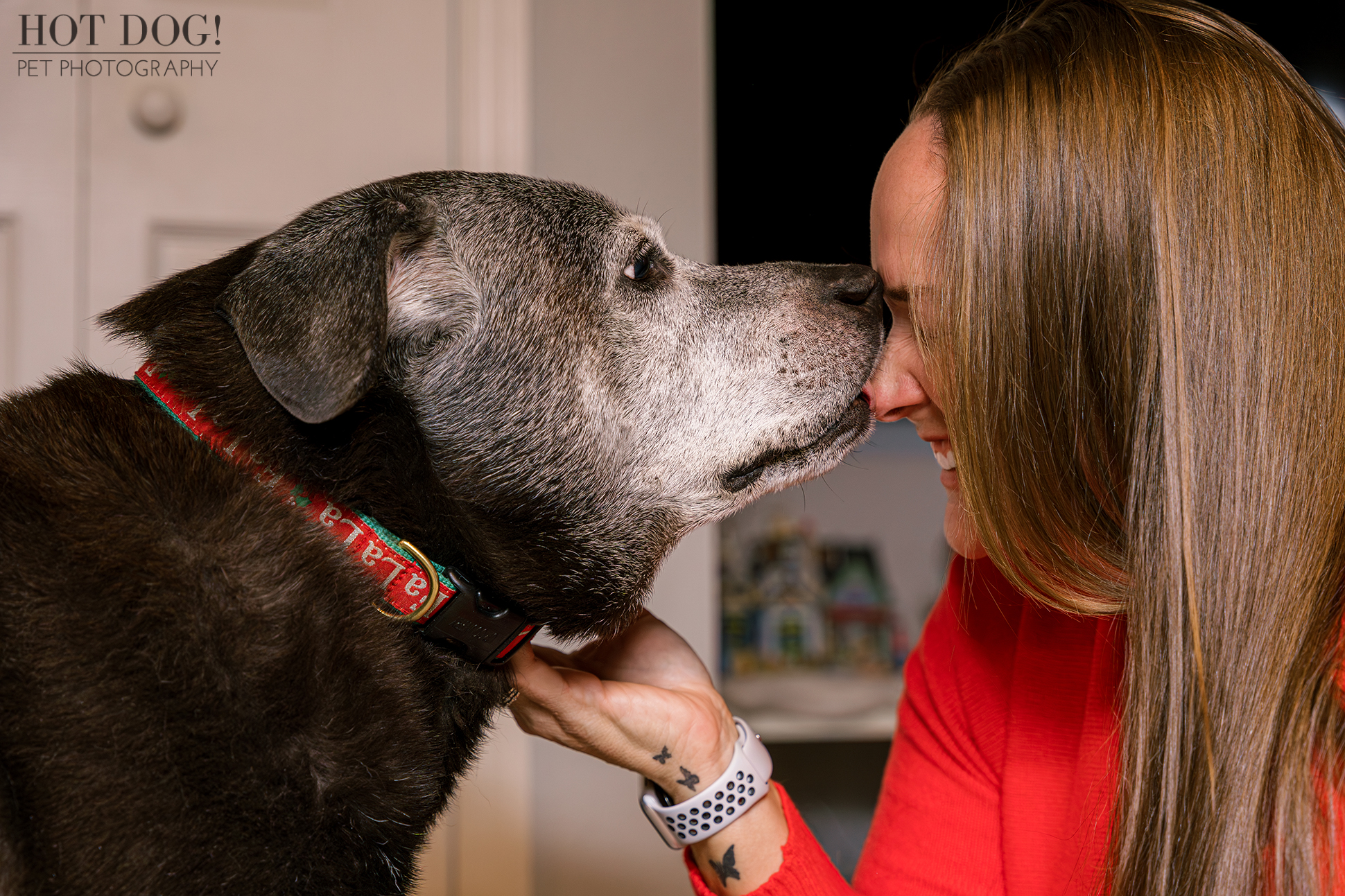 Cozy Canine Cuddle! Lambeau snuggles close to his human, warmth radiating from both. (Photo by Hot Dog! Pet Photography)