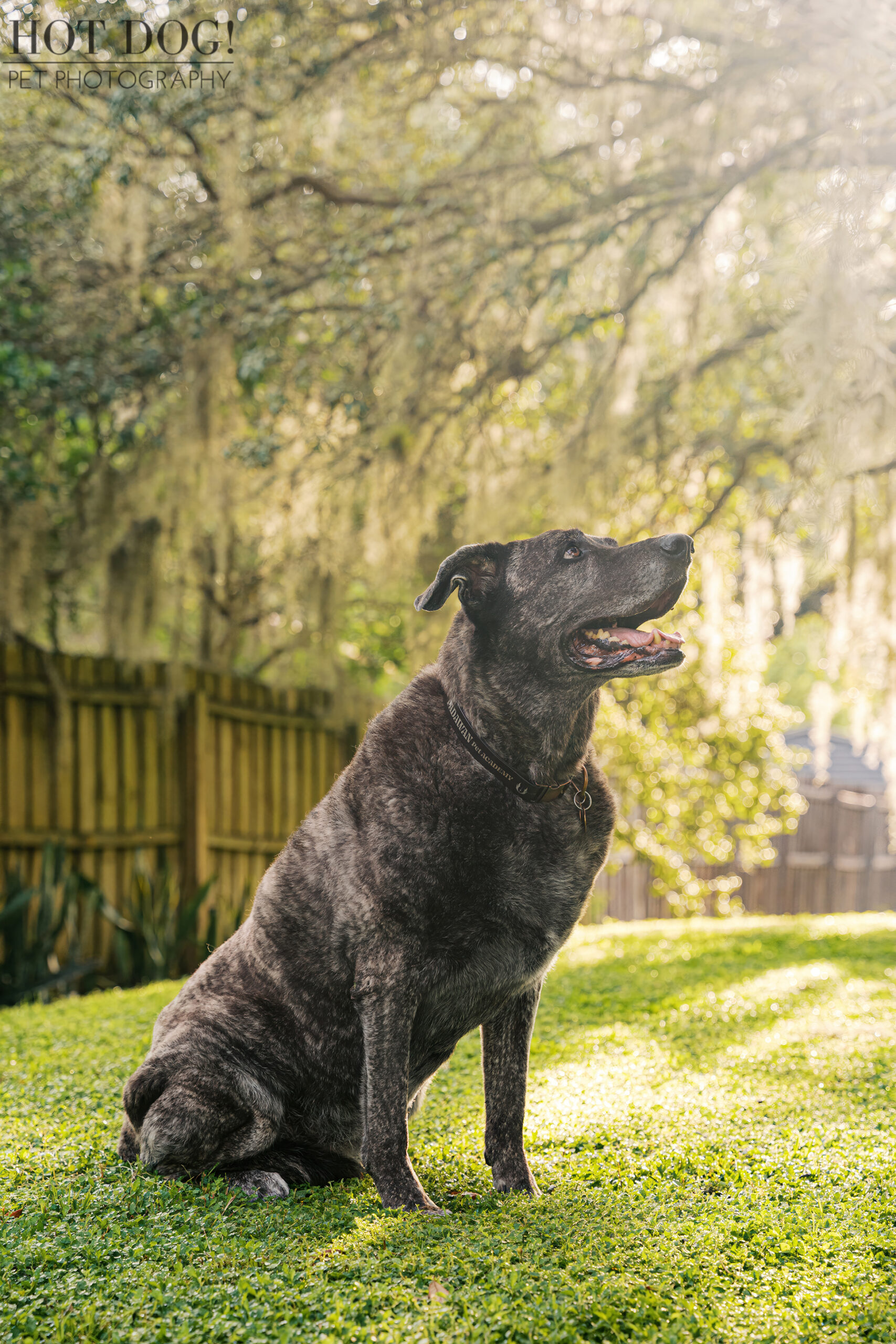 Leah sitting in the grass, gazing upward as sunlight filters through mossy trees.