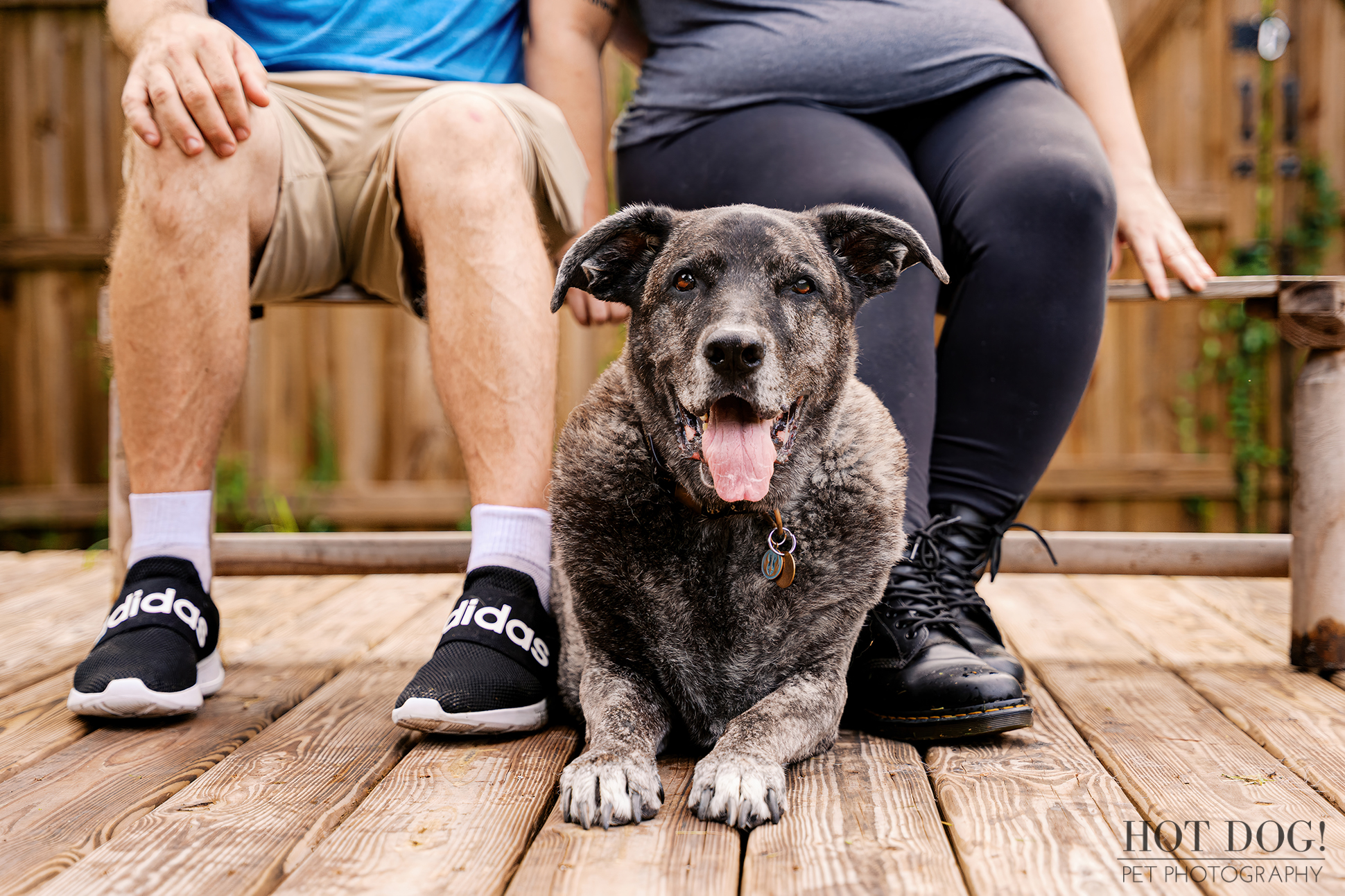 Leah sitting happily between Lukasz and Natasha on the back deck during their Signature Pet Session.