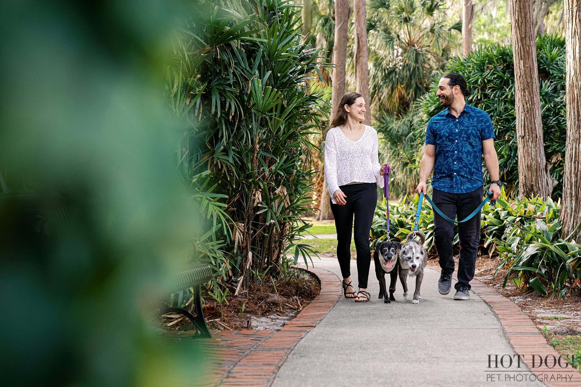 Lauren and Juan smile at each other while walking their rescue dogs Lila and Lana along a lush, tropical garden path at Cypress Grove Park in Orlando.