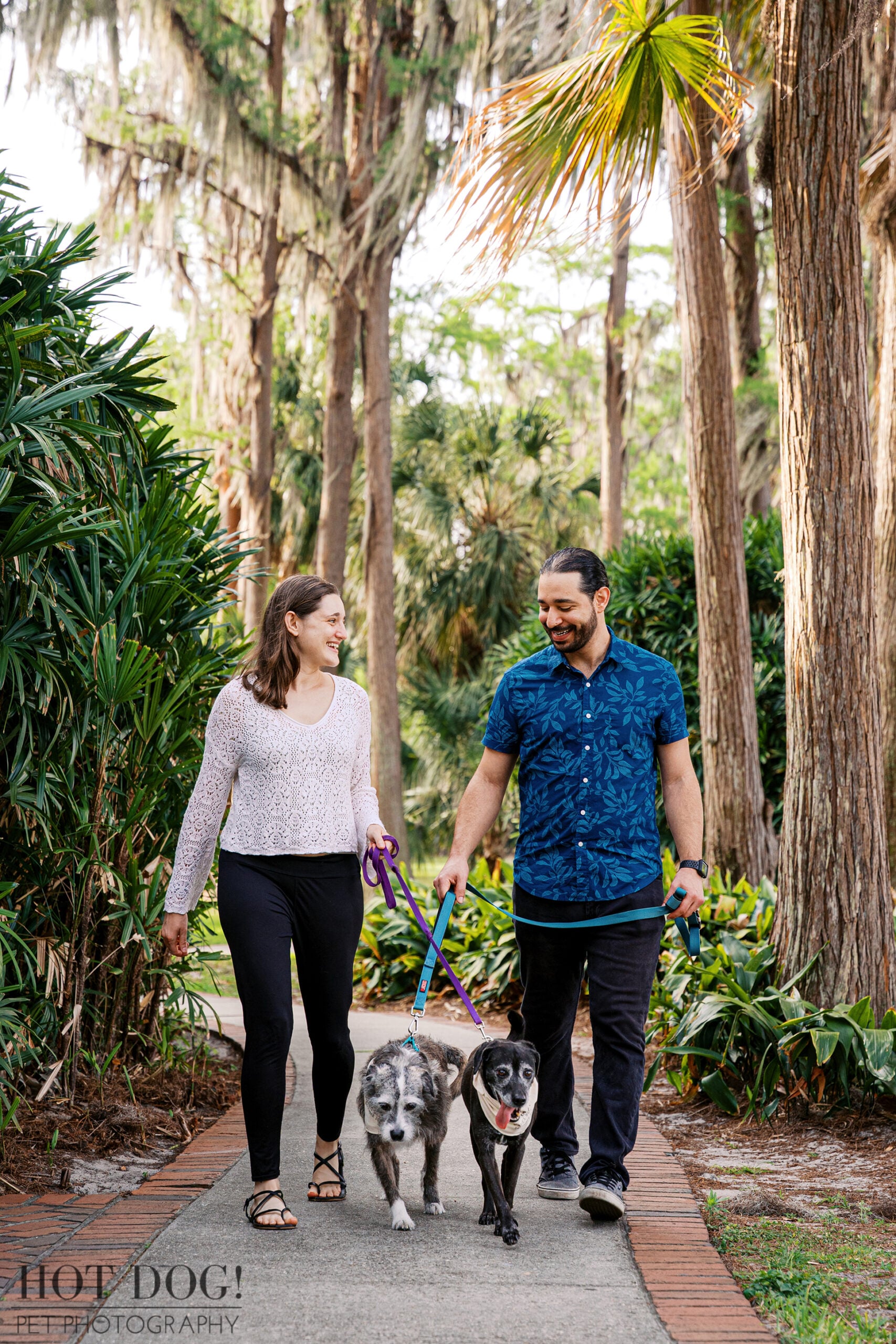 Lauren and Juan walk their rescue dogs Lila and Lana along a tree-lined path surrounded by lush greenery and Spanish moss at Cypress Grove Park in Orlando.