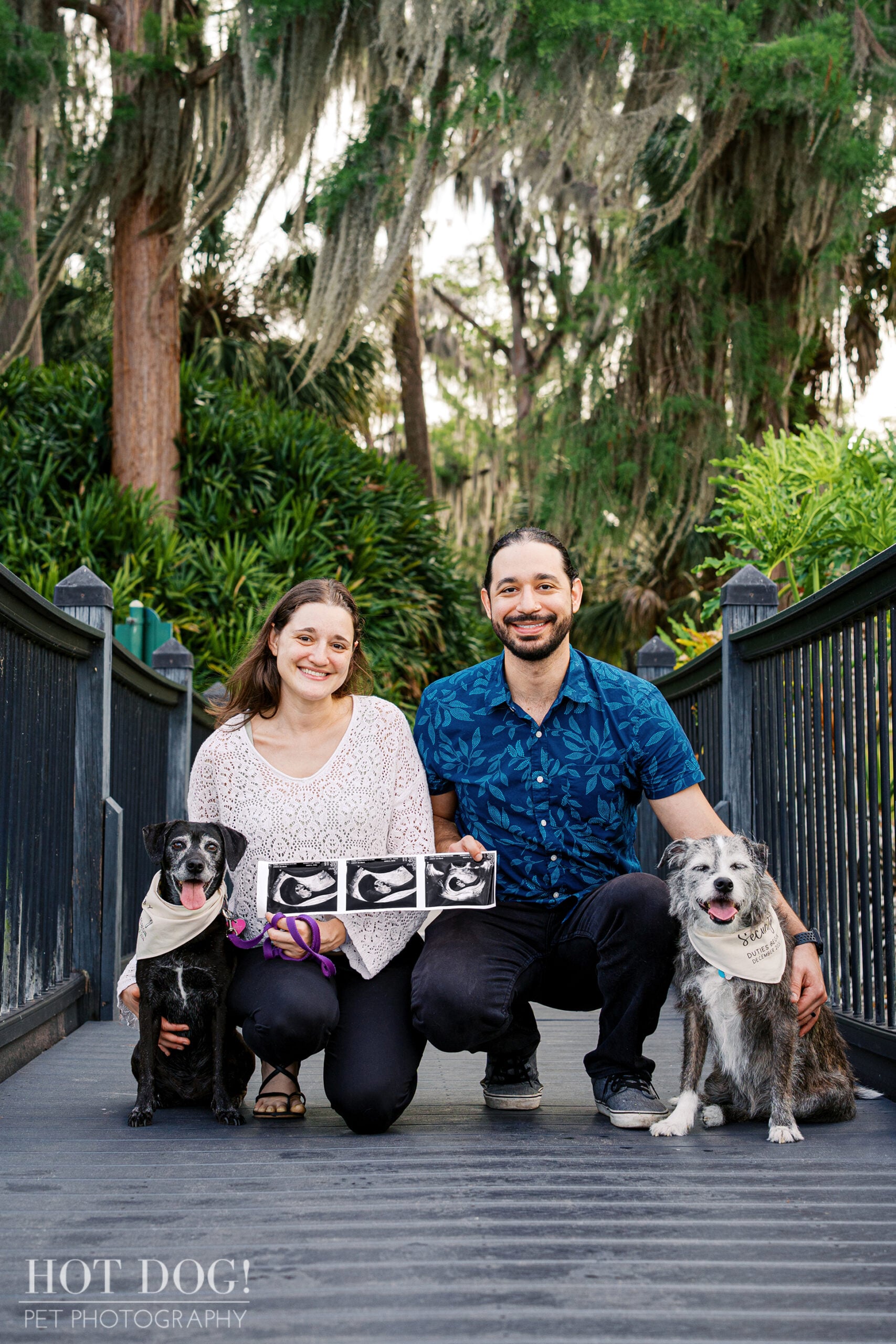 Lauren and Juan pose with their dogs Lila and Lana on a wooden bridge at Cypress Grove Park, holding ultrasound photos to celebrate their pregnancy announcement.