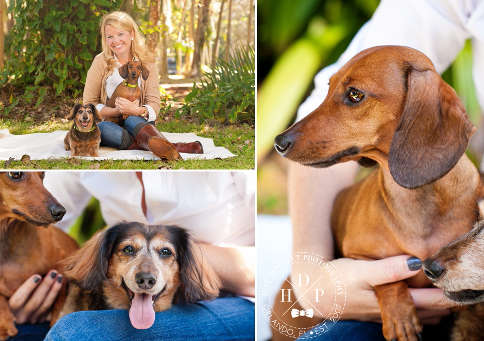 Winter Park Pet Photography