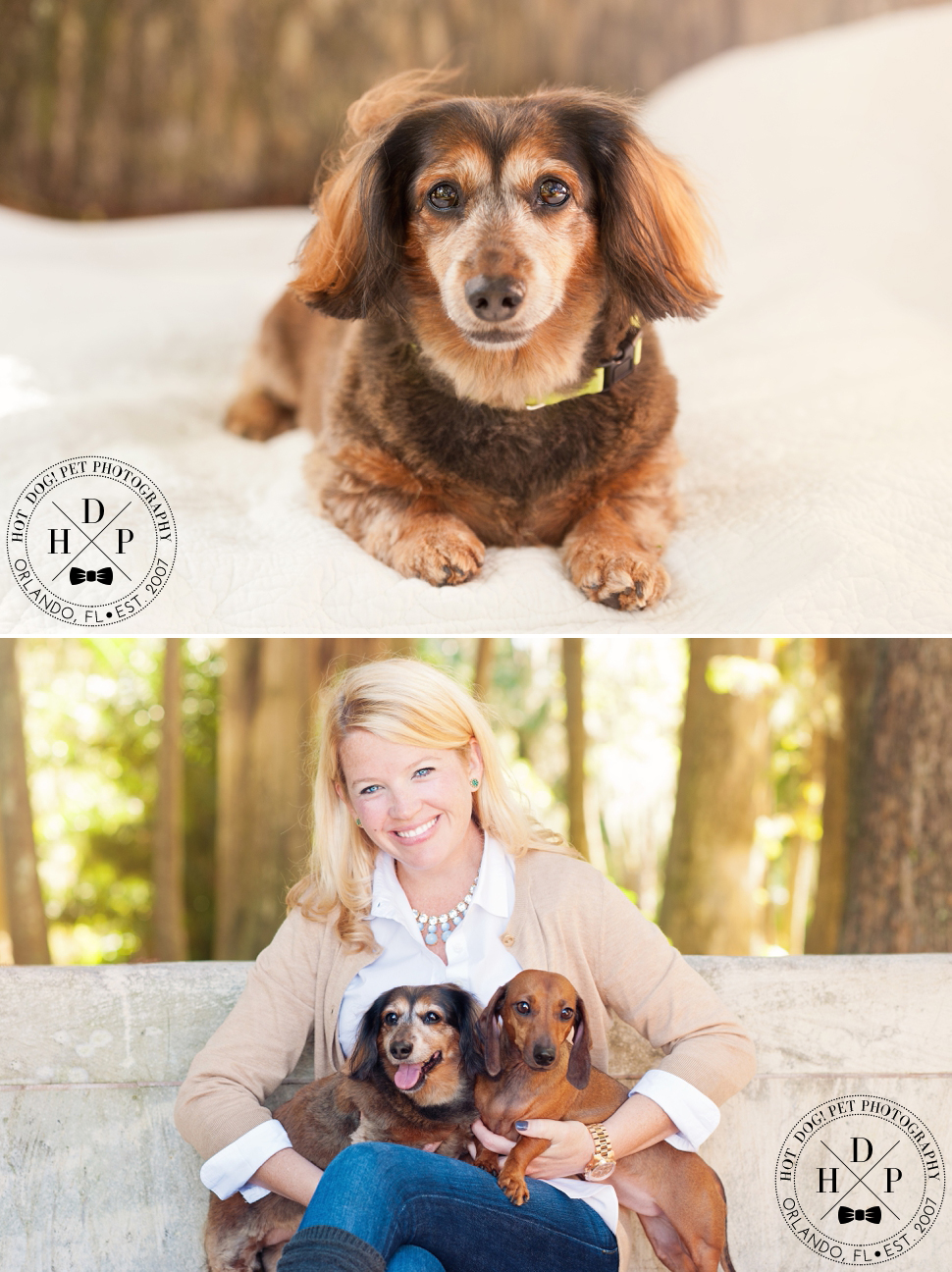 Winter Park Pet Photography