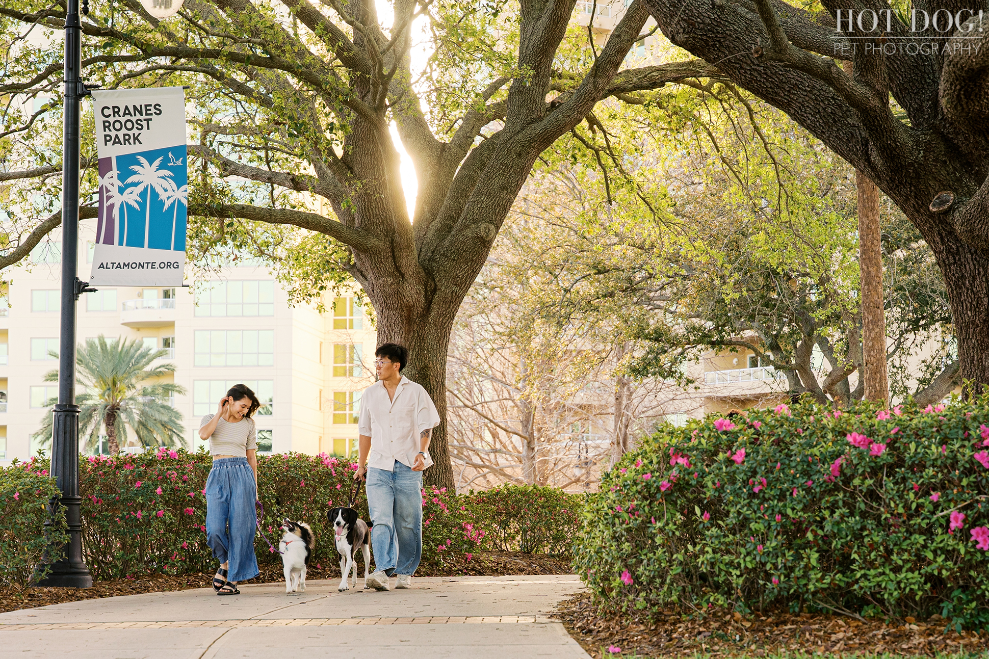Couple walking their two dogs along a path at Cranes Roost Park with blooming flowers and evening light.