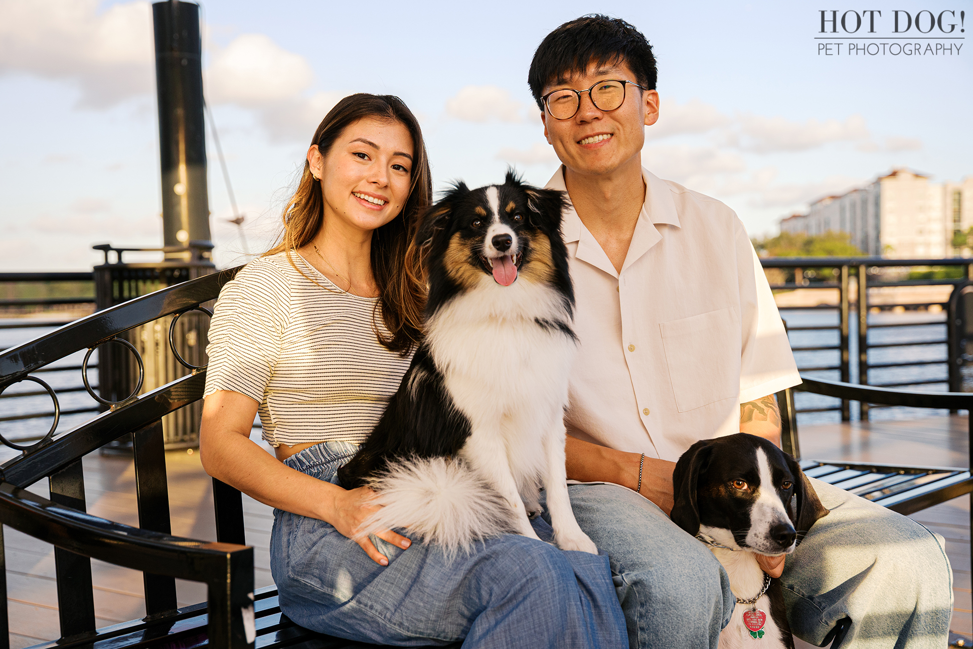 Couple seated on a bench with their two dogs at Cranes Roost Park with waterfront buildings in the background during a pet photography session.