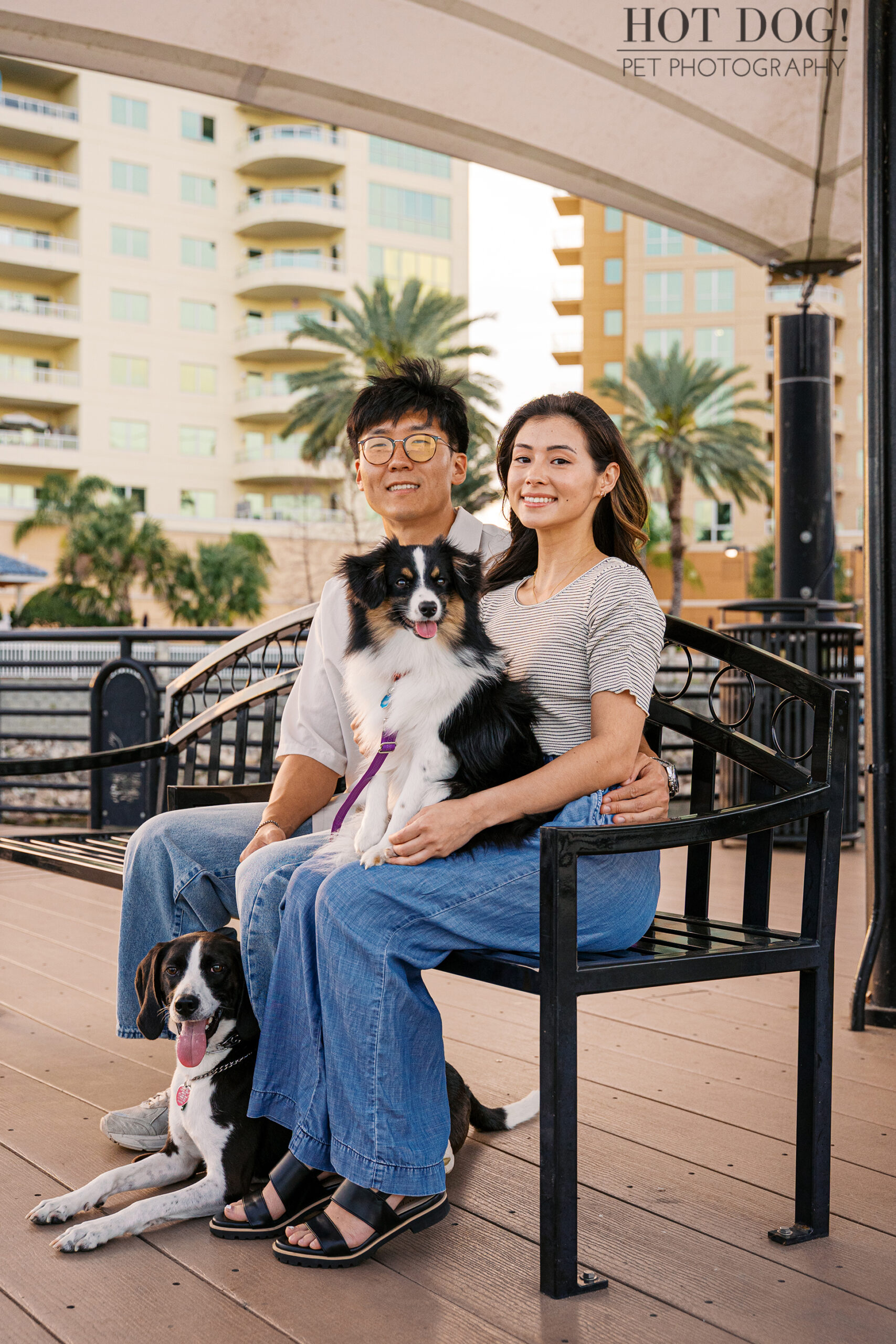 Couple sitting on a bench with their Mini Aussie mix and hound mix dogs at Cranes Roost Park during golden hour.