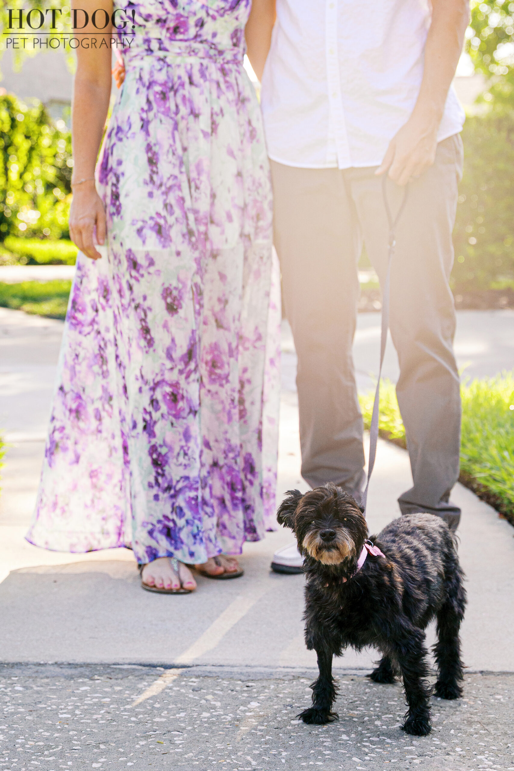 Luna on a leash standing confidently in front of her mom and dad outdoors.
