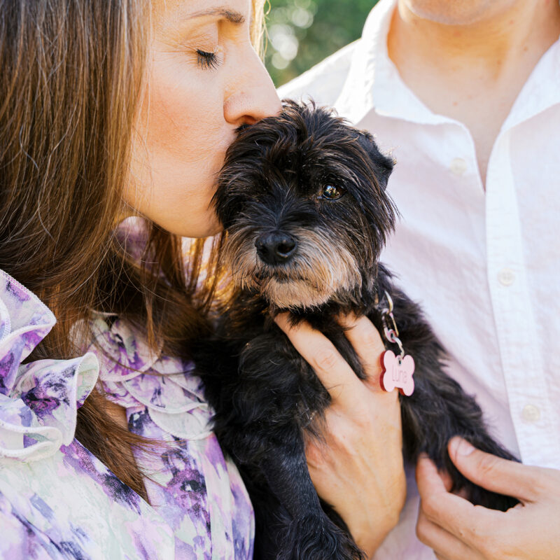 Luna’s Cherished Companion Session | Apopka Pet Photography