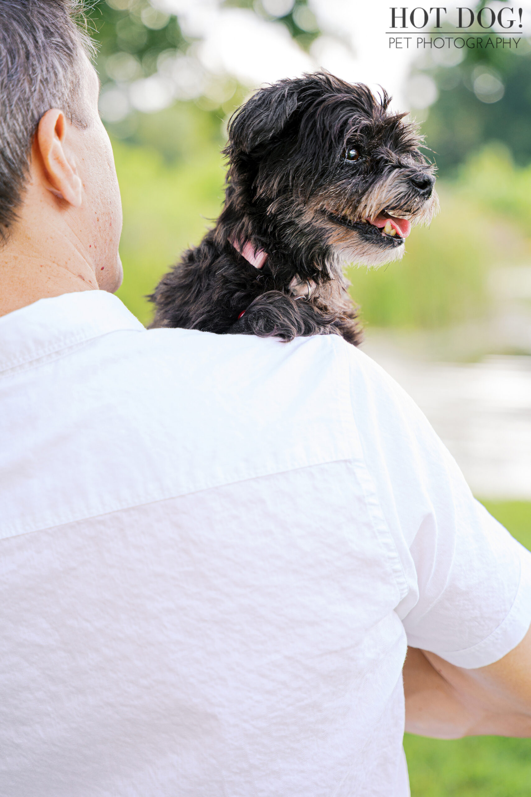Luna gazing out at the lake on Nick's shoulder.