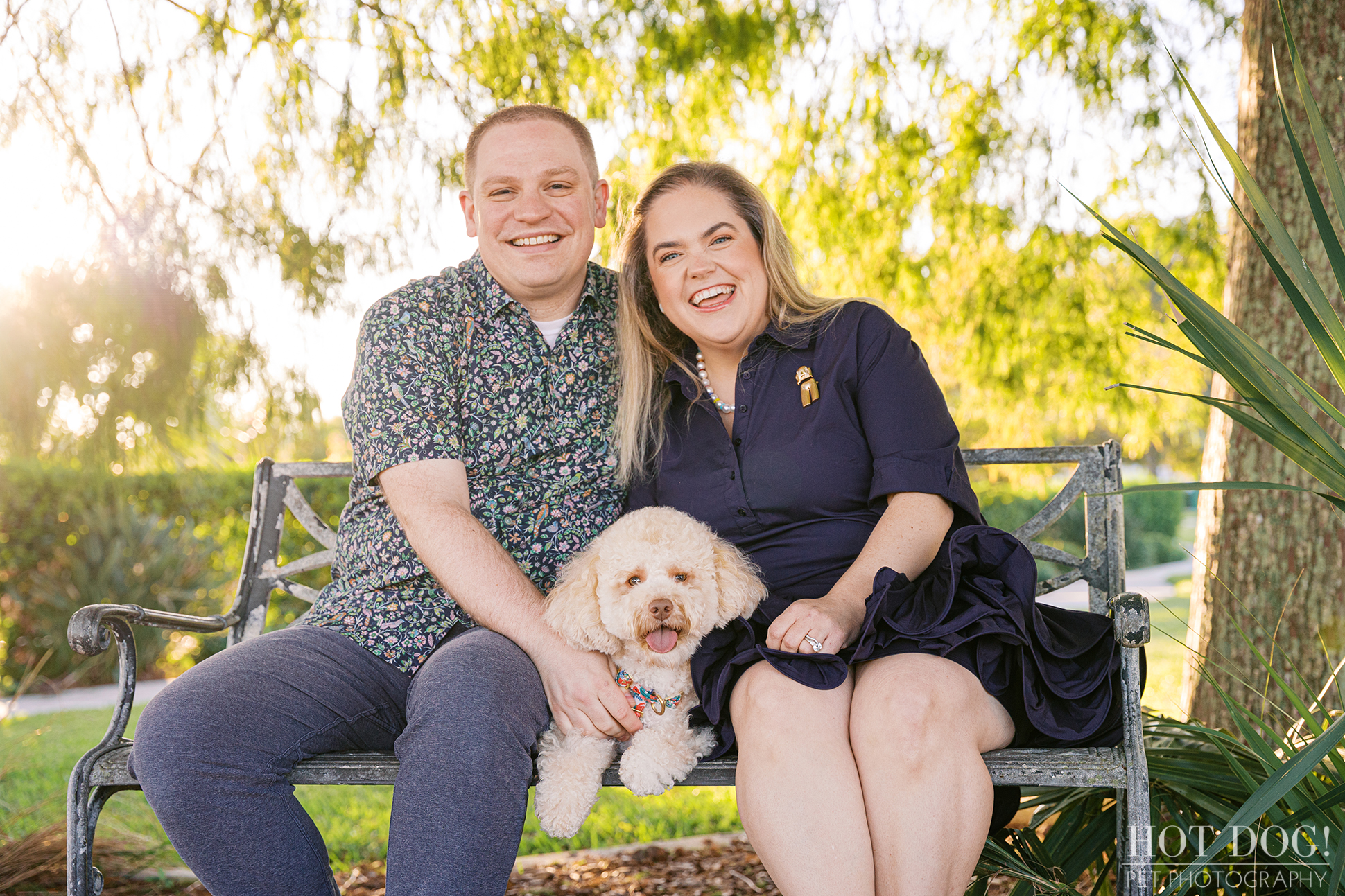 Lauren and Ian sit on a decorative metal bench at Newton Park with Mia happily resting between them, the sun glowing through willow branches behind them.