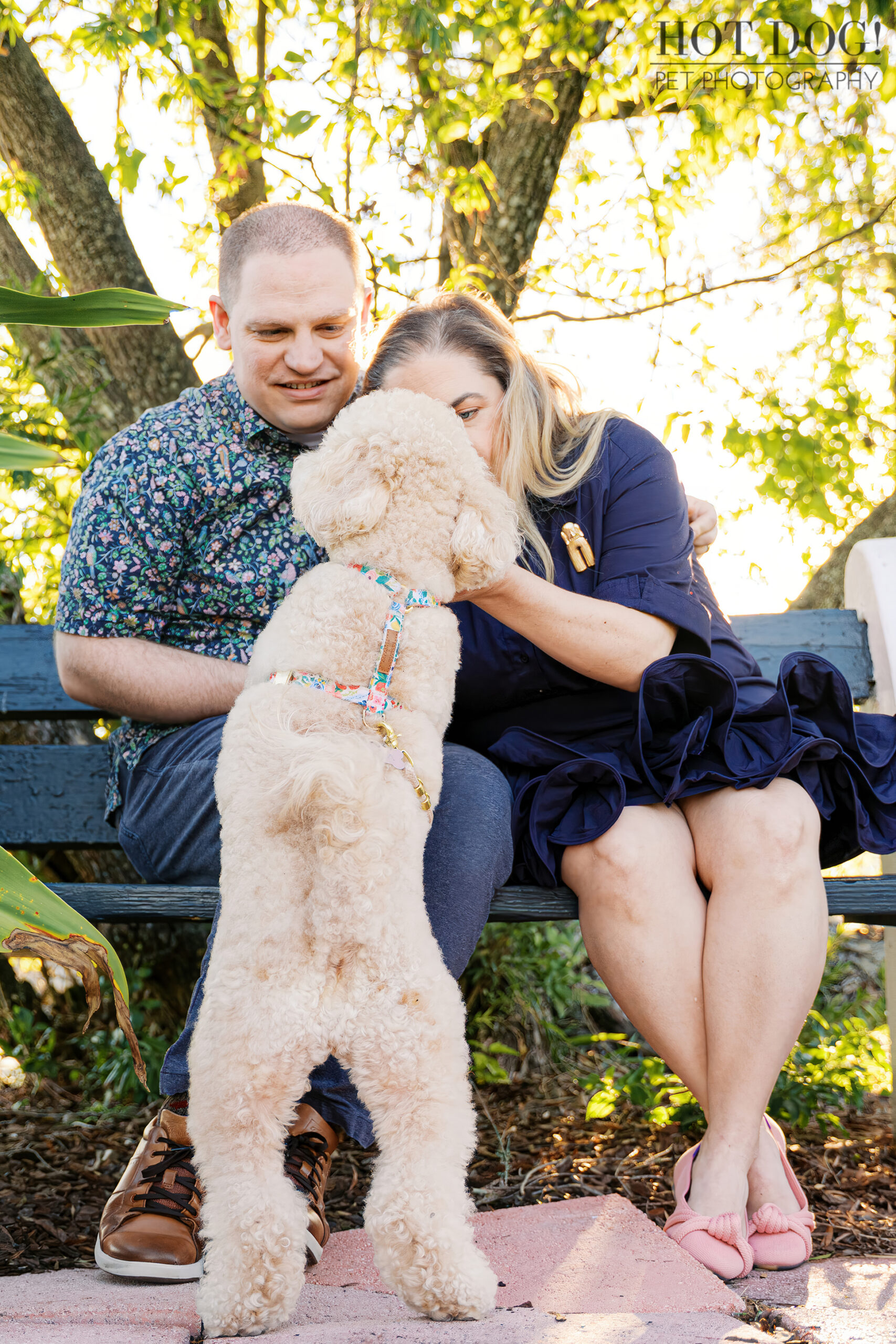Mia stands on her hind legs with her paws on Lauren and Ian’s knees as they lean in to nuzzle her, seated together on a park bench surrounded by greenery.