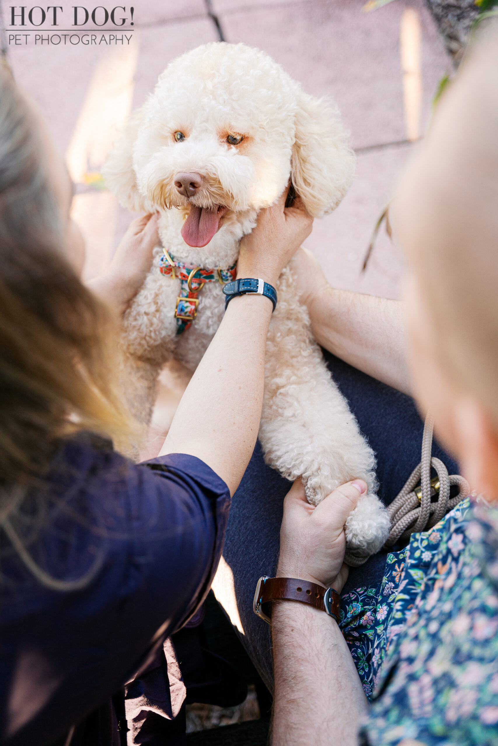 Overhead view of Mia sitting between Lauren and Ian as they gently hold her face, her tongue out in a joyful expression.