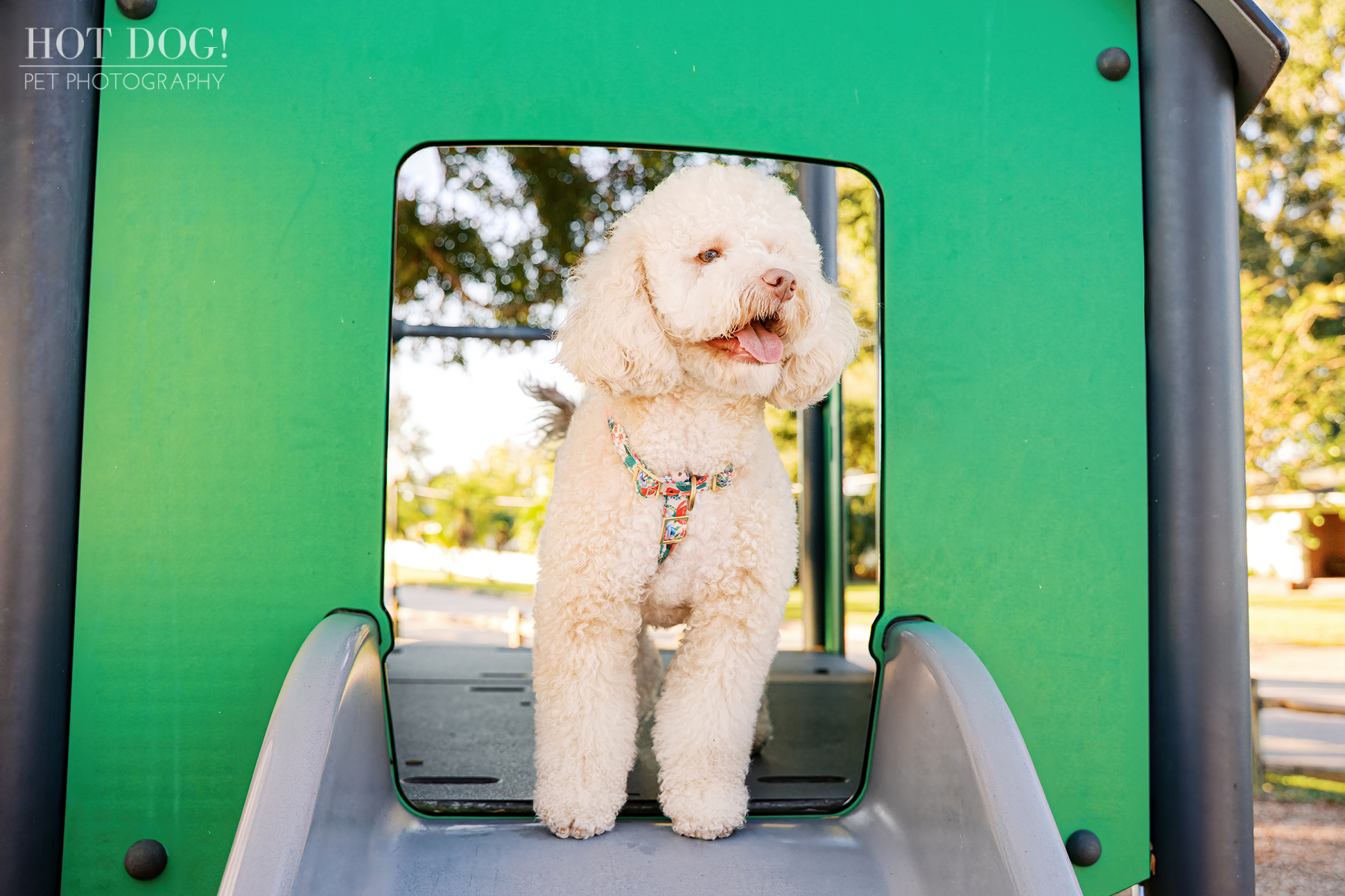 Mia stands inside the opening of a playground slide, looking to the side with her tongue out, framed by the green play structure.