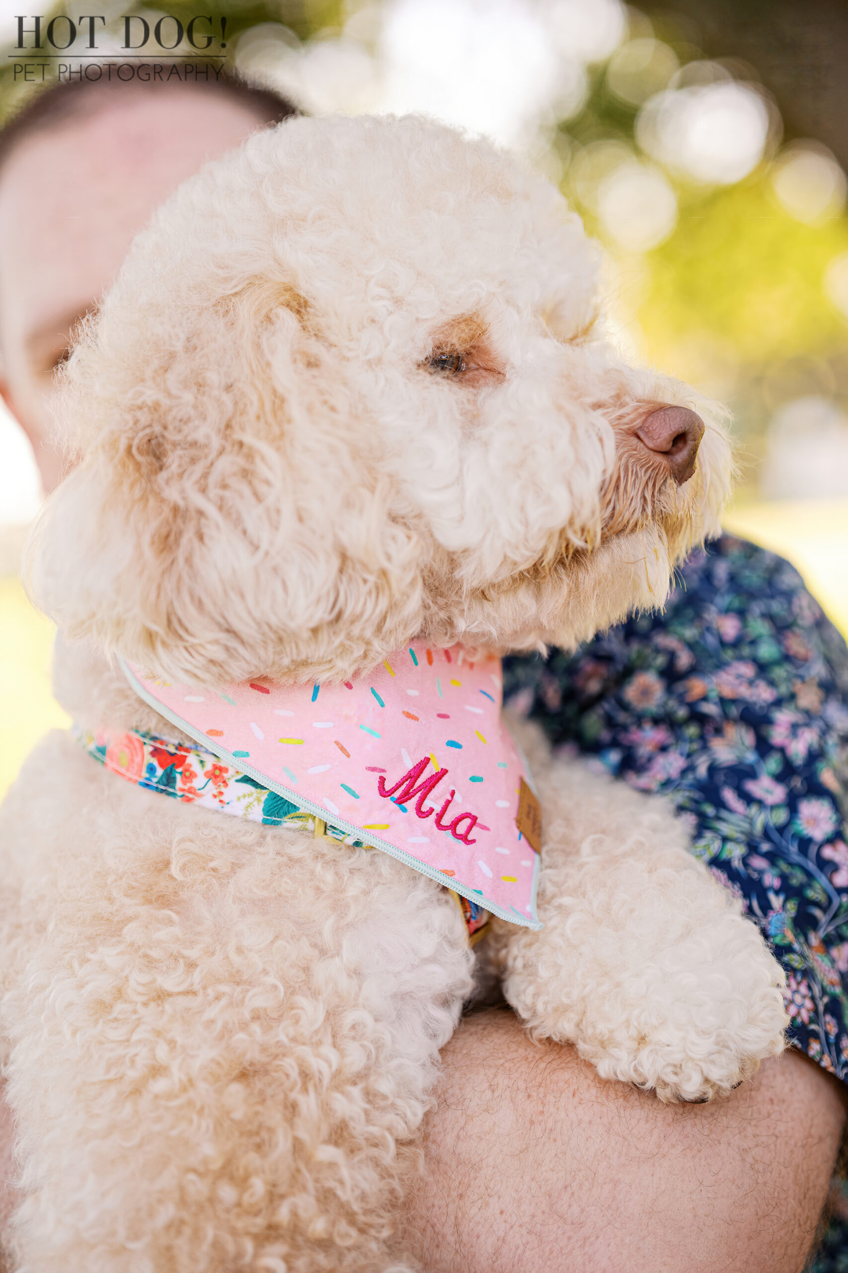 Close-up side profile of Mia being carried, showing her soft curls and pink sprinkle bandana embroidered with her name.