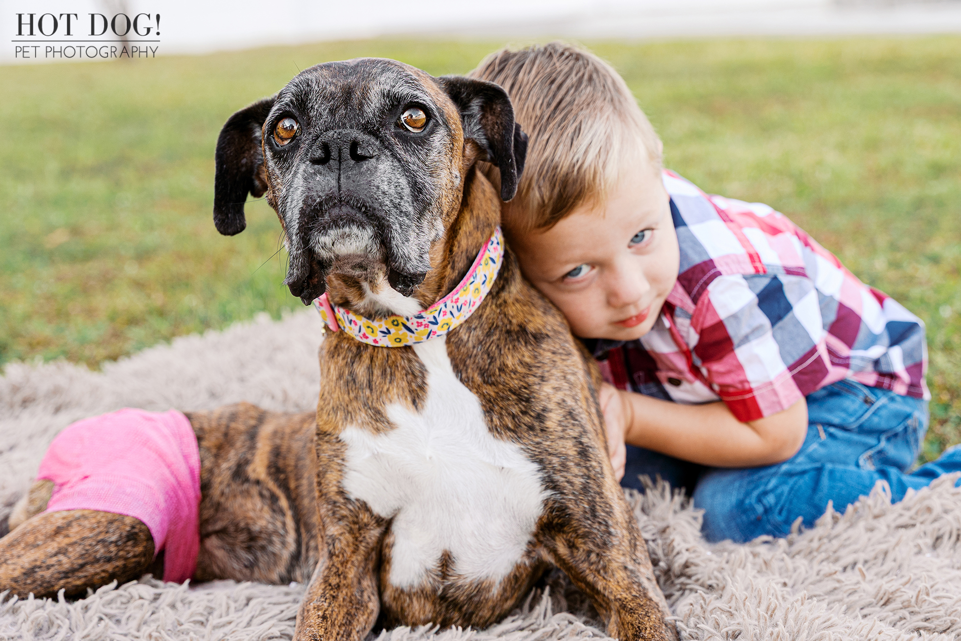 Young child leaning against a senior brindle boxer resting on a blanket, showing a tender bond between child and dog.