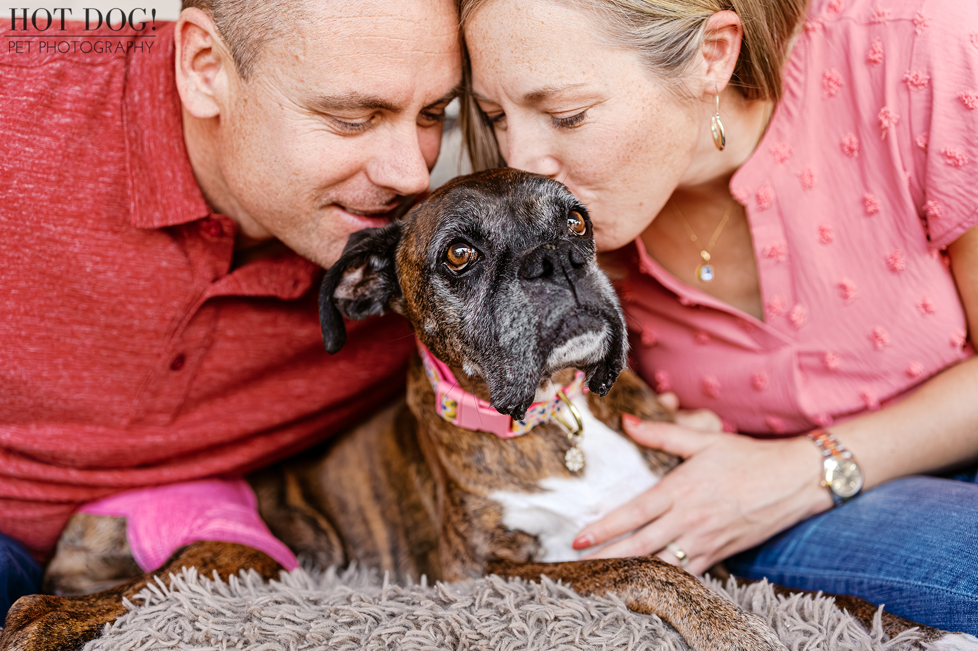 Parents leaning their faces close to their senior Boxer in a quiet moment of connection.