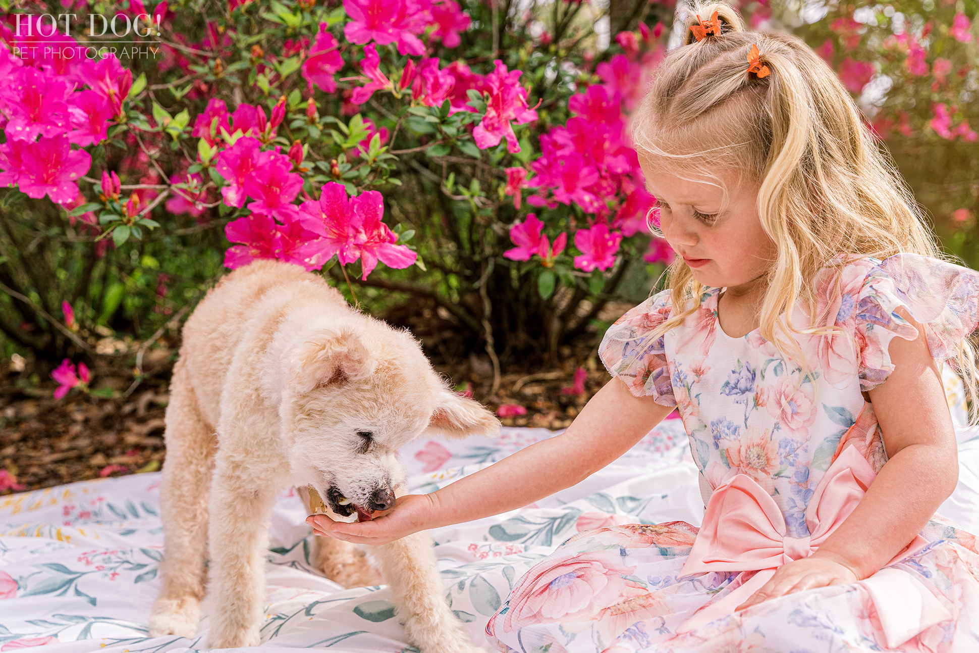 A blossoming friendship: Miley and Ella share a sweet moment during the family photoshoot.