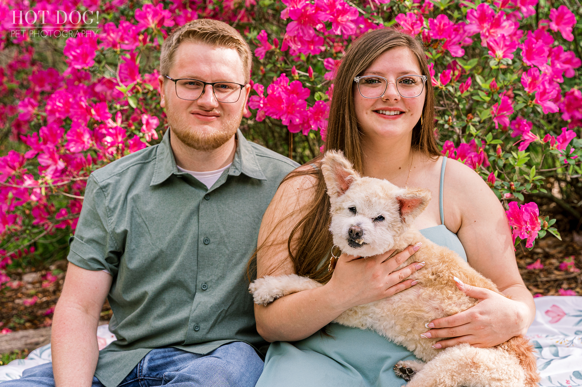 Dickson Azalea Park's vibrant flowers complement the joyful atmosphere of this family photoshoot.