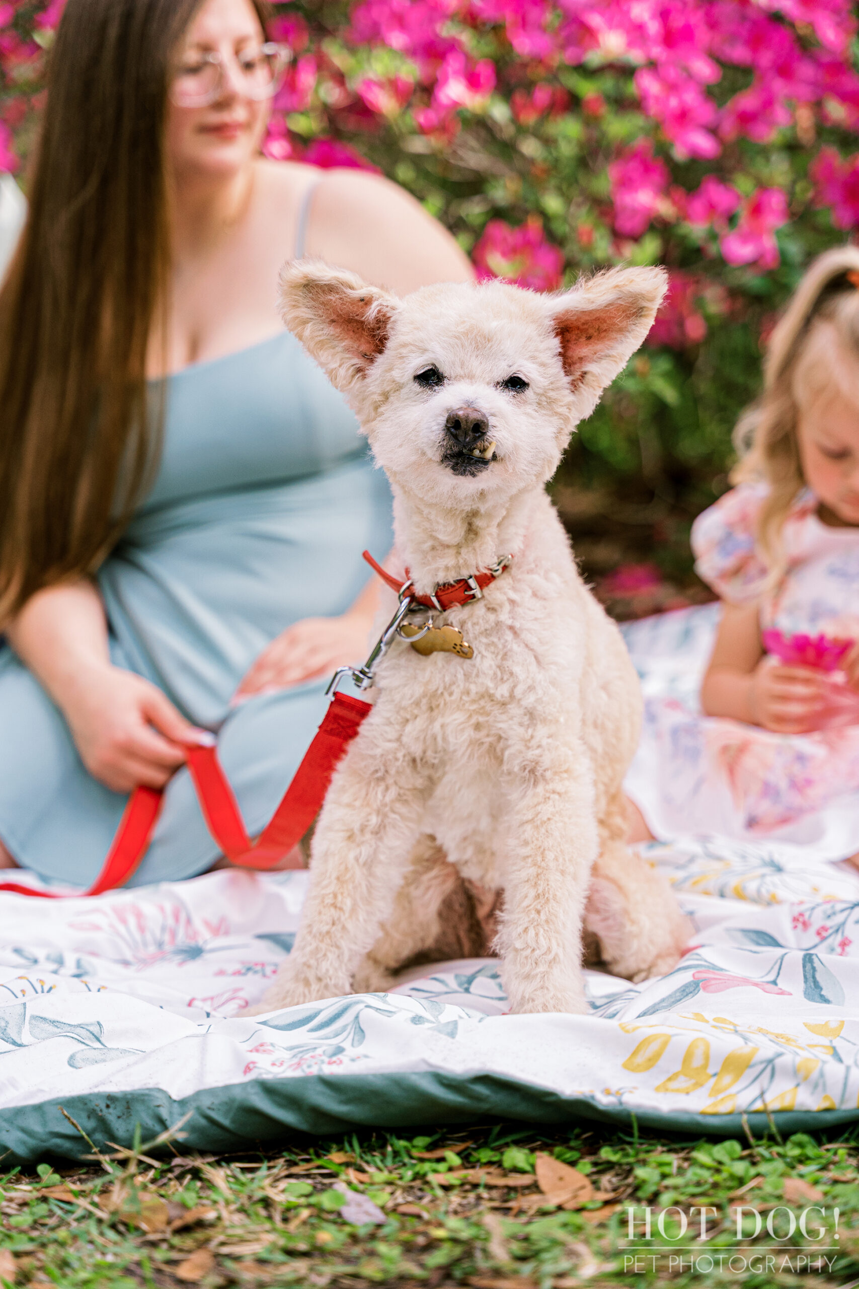 Mother-daughter bonding moment at Dickson Azalea Park with their dog Miley.