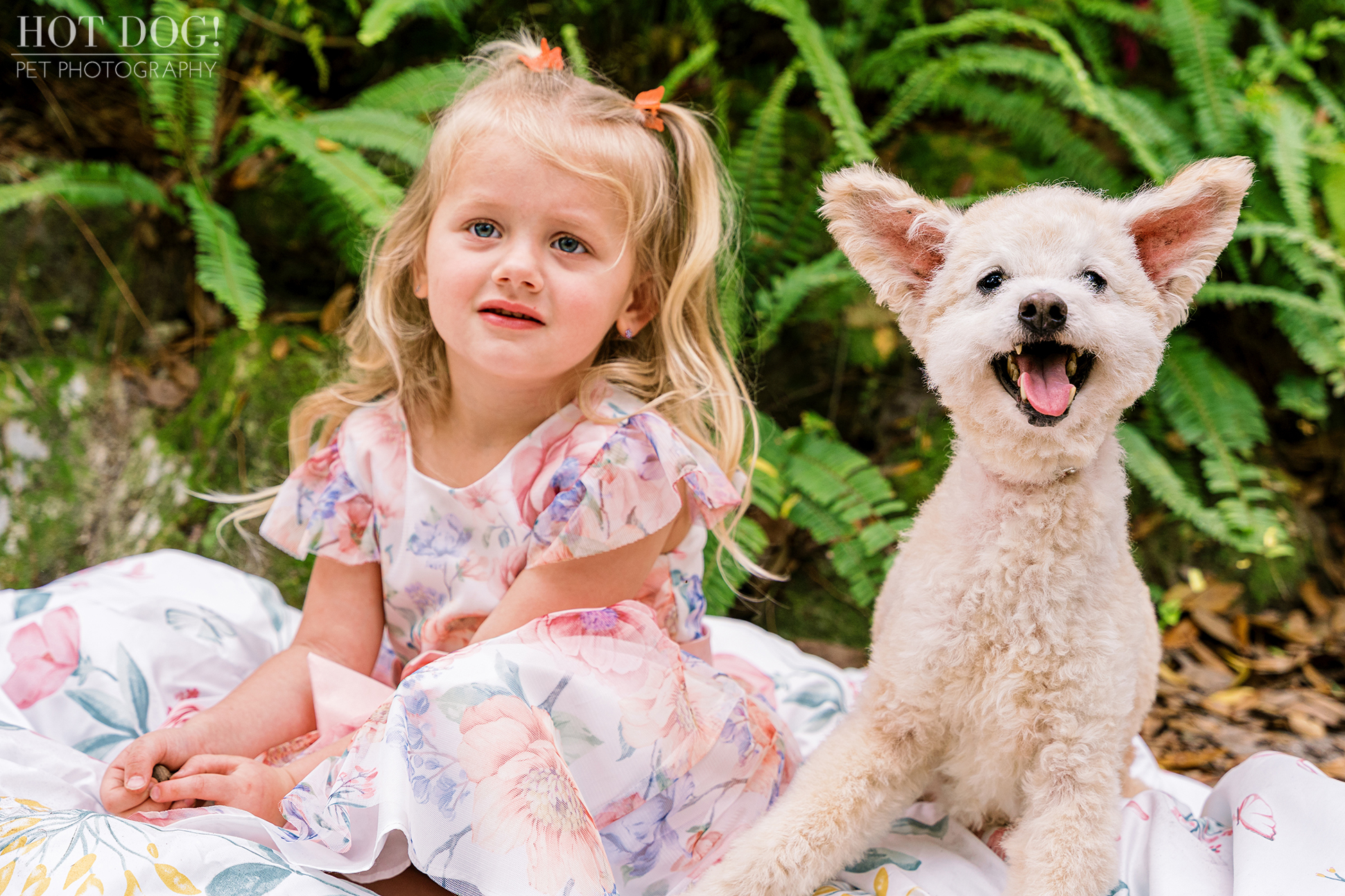 Hot Dog! Pet Photography captures a candid moment of love between Ella and Miley at Dickson Azalea Park.