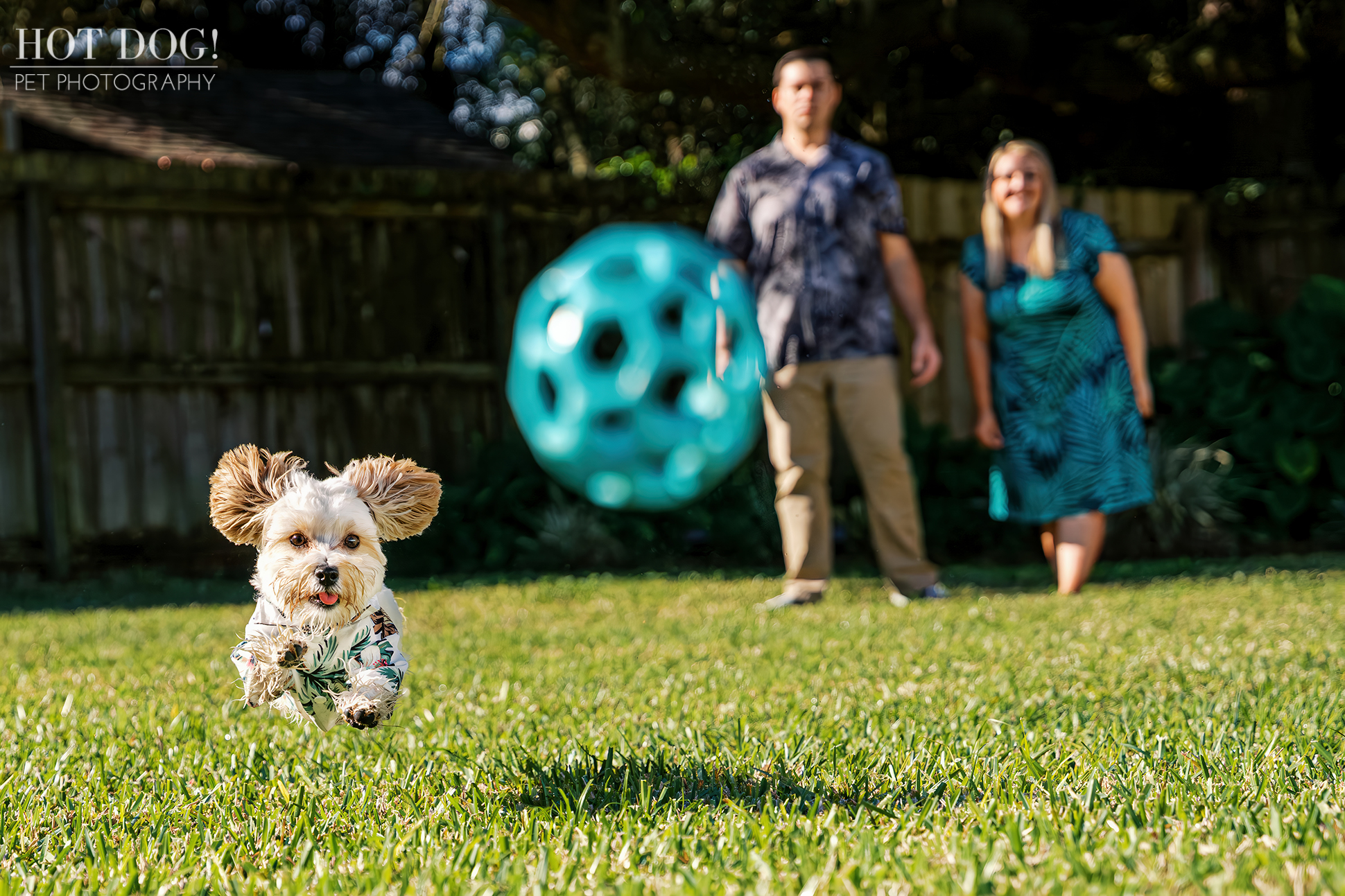 Milo mid-air during a game of fetch, running toward the camera as Julie and Remi stand in the background.
