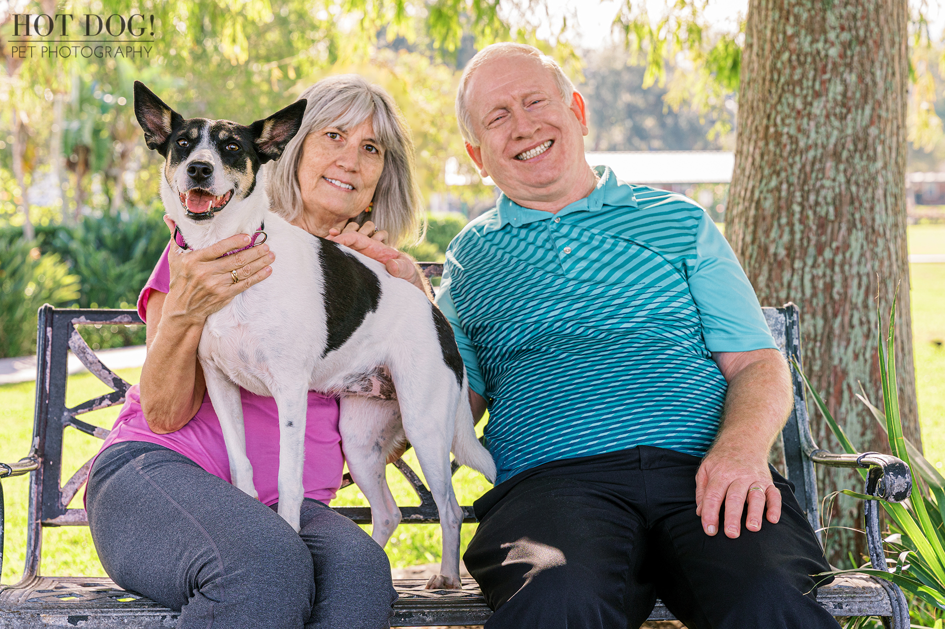 Second Chance Smiles: Adorable rescue rat terrier mix Miracle beams with joy alongside her loving adopted parents, captured by Orlando pet photographer Hot Dog! Pet Photography.