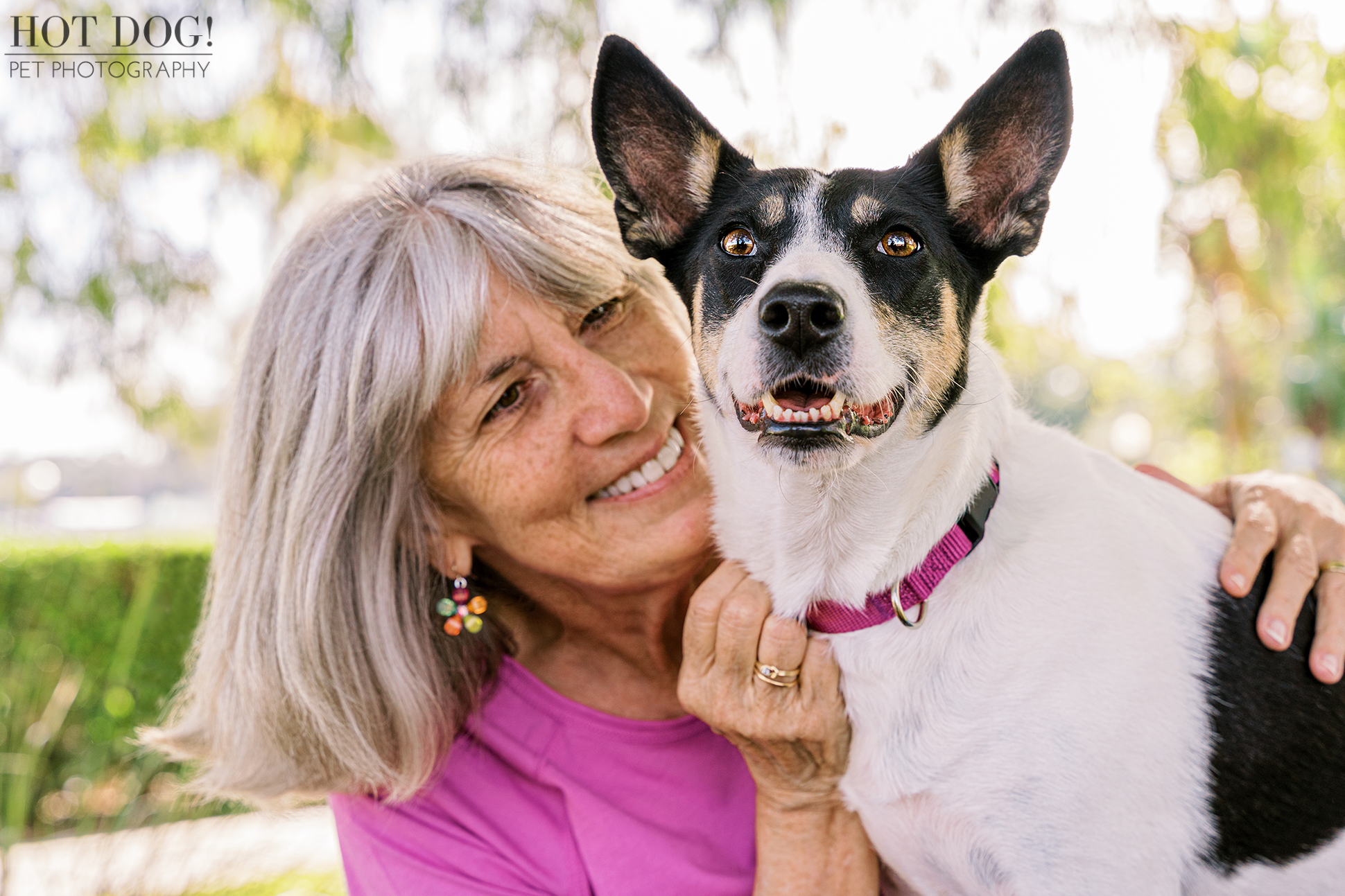 From Shelter to Spotlight: Rescue rat terrier mix Miracle shines in this Orlando pet photography session by Hot Dog! Pet Photography, reminding us of the transformative power of adoption.