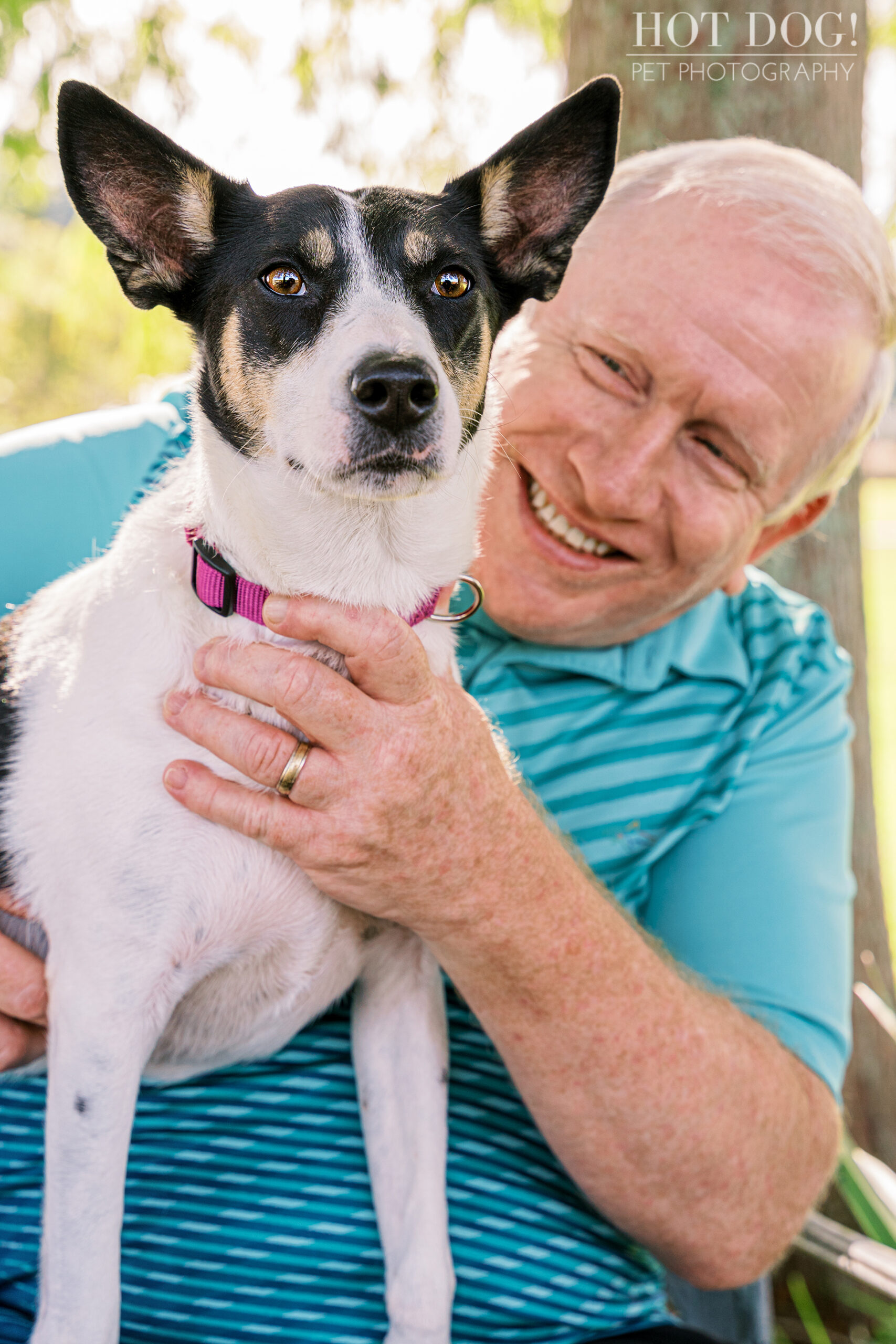 Tail Wags and Happy Tears: Miracle, the rescued rat terrier mix, celebrates her newfound happiness with her adoptive parents in this heartwarming photo by Orlando pet photographer Hot Dog! Pet Photography.