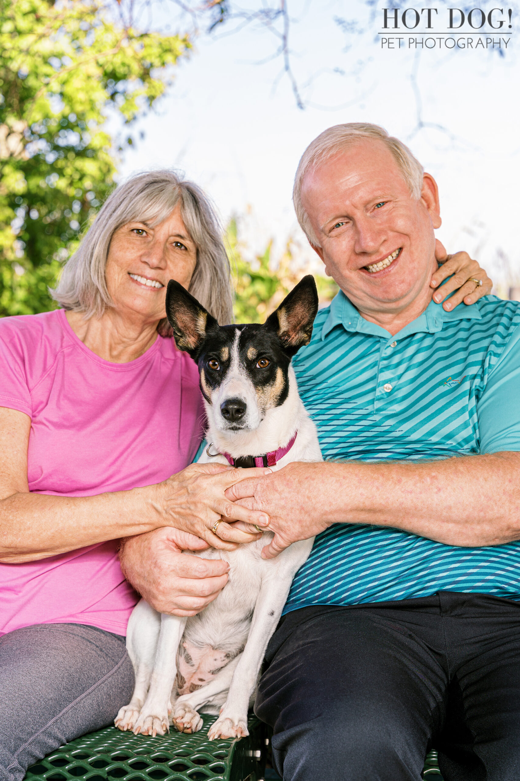 Adopting Love, One Wag at a Time: Hot Dog! Pet Photography inspires Orlando pet lovers to consider rescue through Miracle, the adoptable rat terrier mix's heartwarming story.