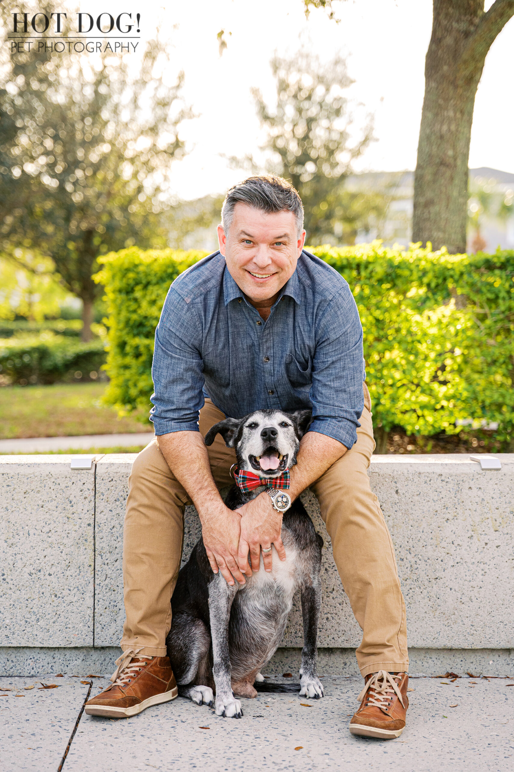 Adult man sitting on a concrete bench with his senior black and white lab mix wearing a plaid bow tie, smiling during an outdoor holiday pet photo session.
