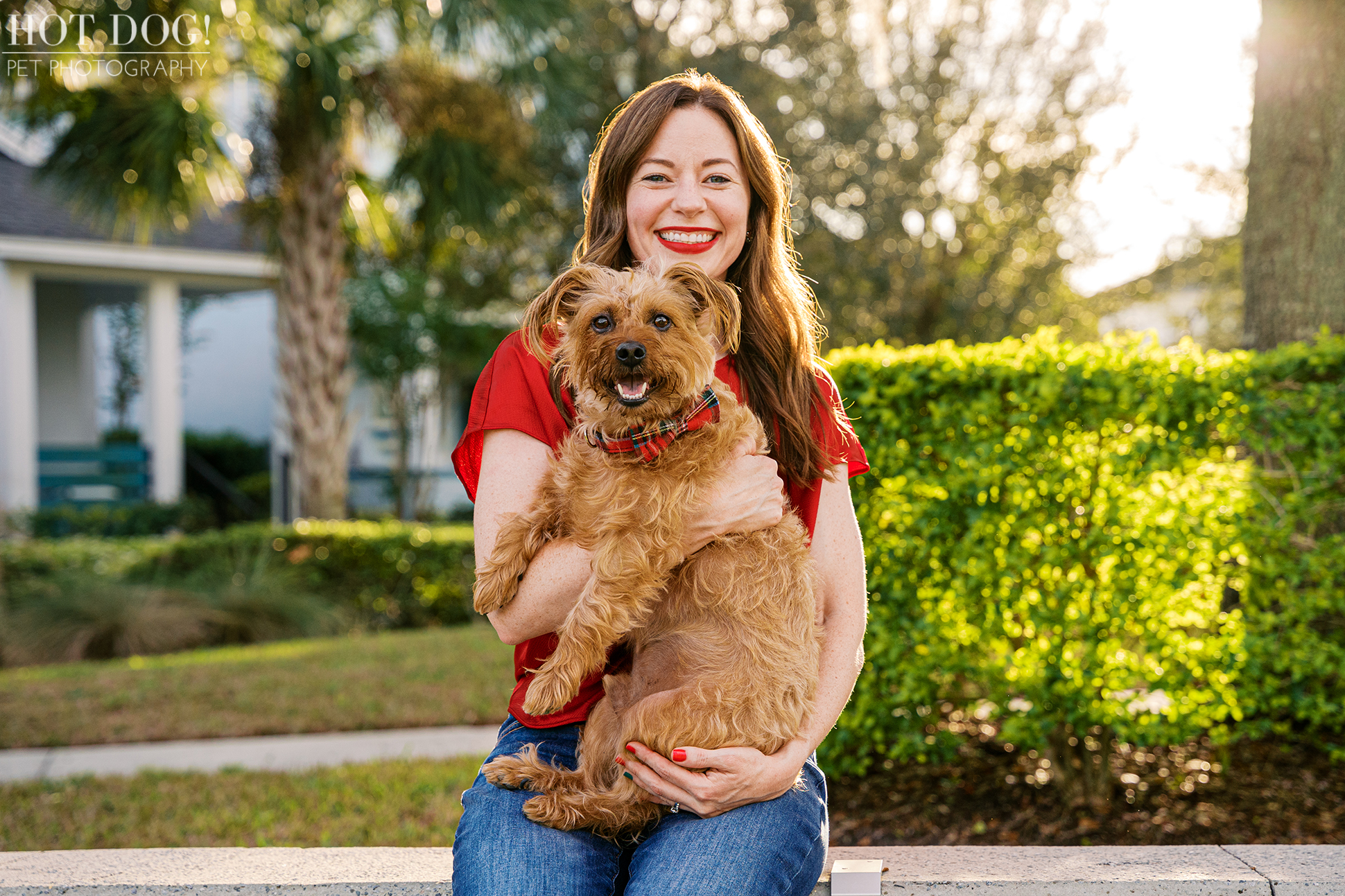 Adult woman sitting on a concrete bench holding a small auburn terrier mix wearing a holiday collar, smiling in a sunlit park setting.