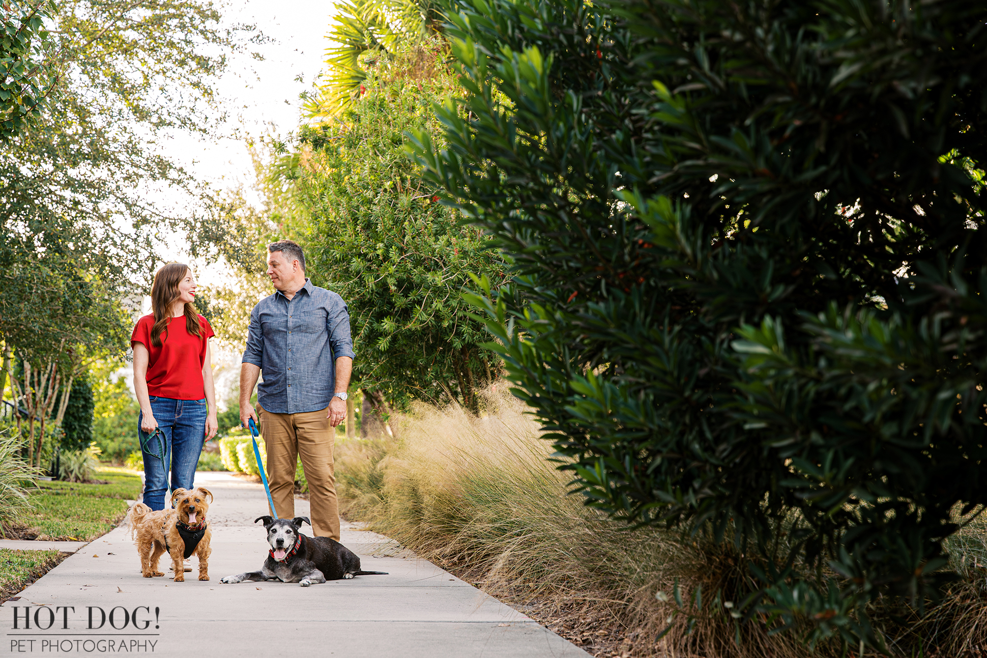 Couple standing on a sidewalk with their two dogs, one dog lying down and the other standing, framed by greenery during a holiday photo session.