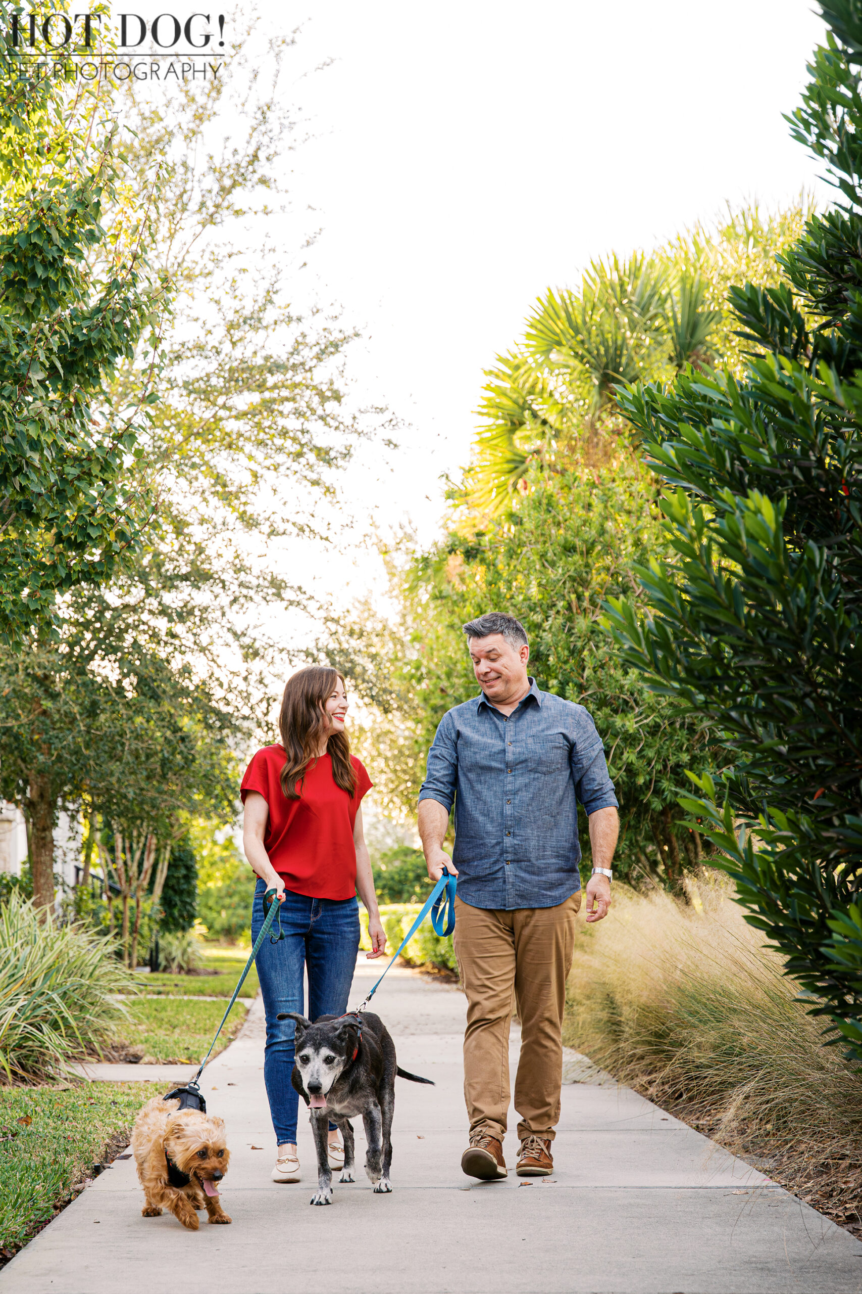 Couple walking side by side on a sidewalk with their two dogs on leashes, photographed during a relaxed holiday pet session.