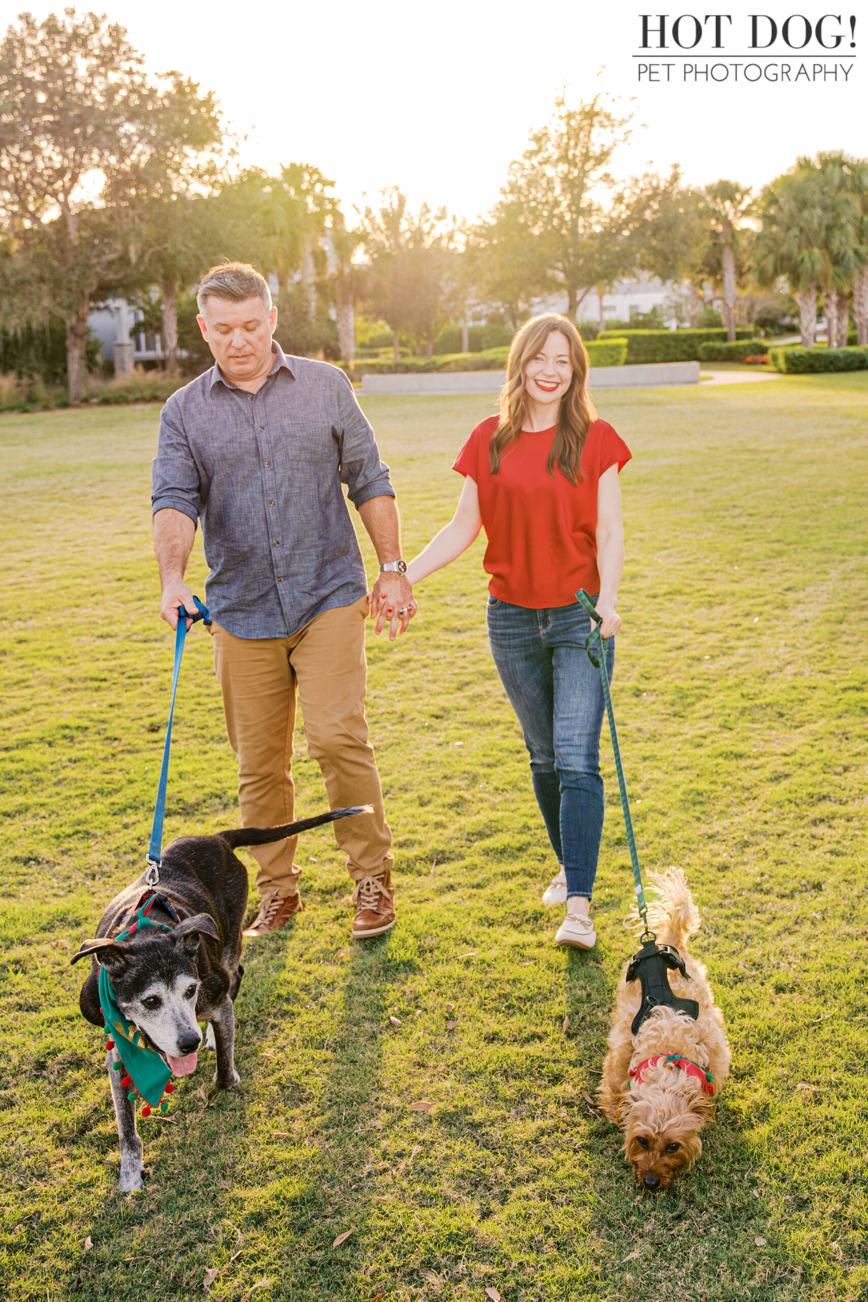 Couple walking hand in hand across a grassy park with their two dogs on leashes during a holiday pet photo session.